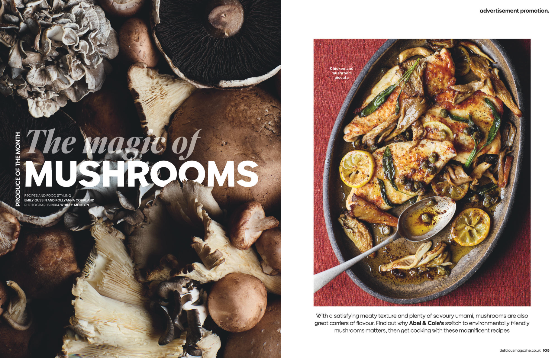 Left side: a close-up of various fresh mushrooms including shiitake, cremini, and oyster mushrooms. Right side: a baking dish with cooked chicken and mushrooms garnished with lemon slices, on a red cloth.