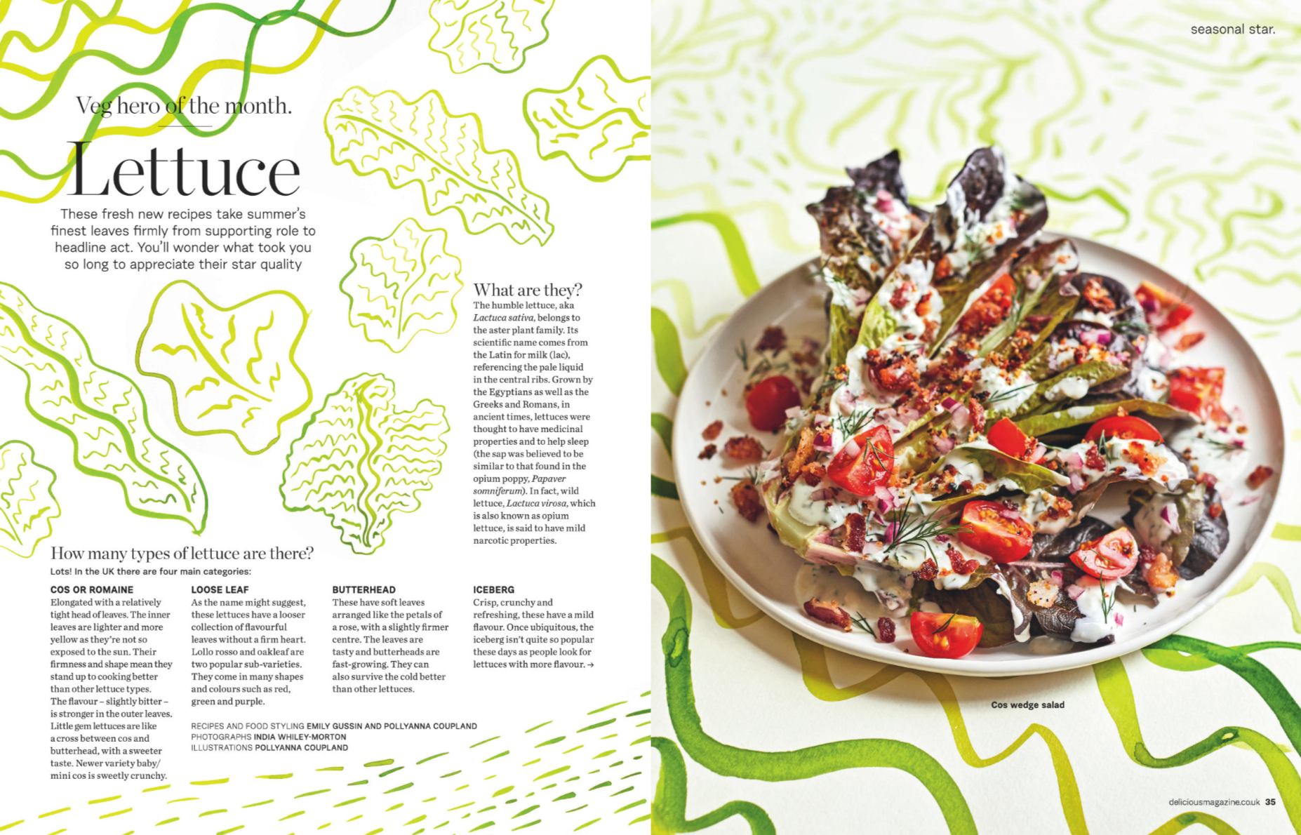 A colorful plate of wedge salad with cherry tomatoes, chopped red onions, crispy bacon bits, fresh dill, and a creamy dressing, on a patterned green and white tablecloth.