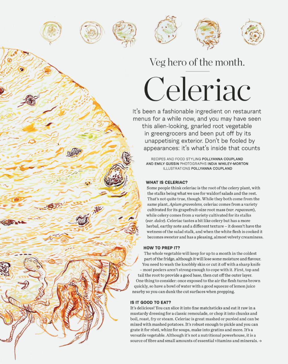 Illustration of a celeriac root vegetable with text describing its qualities, preparation, and culinary uses, along with a header indicating it as the 'Veg hero of the month'