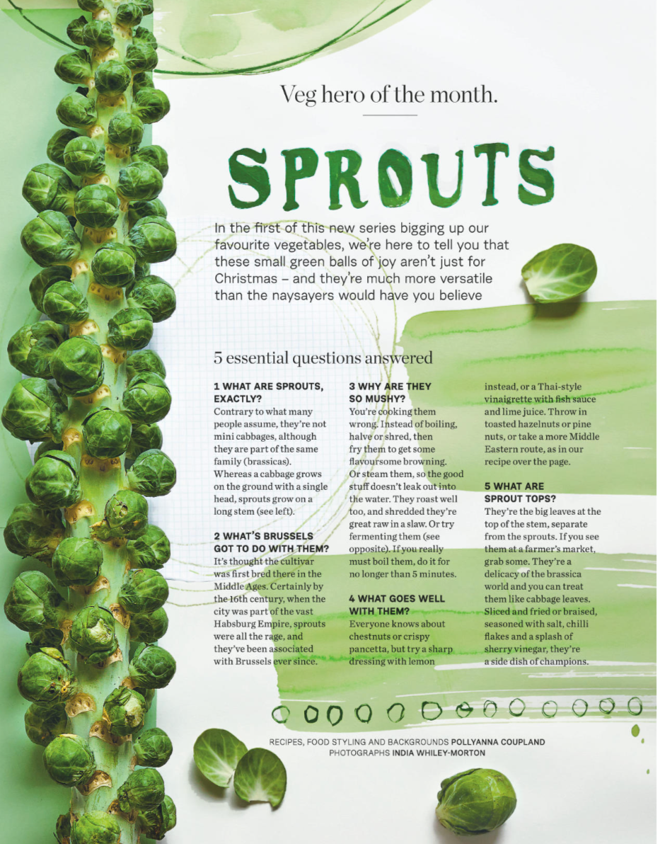 A magazine page about sprouts, featuring a vertical row of Brussels sprouts on the left, various sprout images, and green text highlighting information and questions about sprouts, with a background of light green and white.