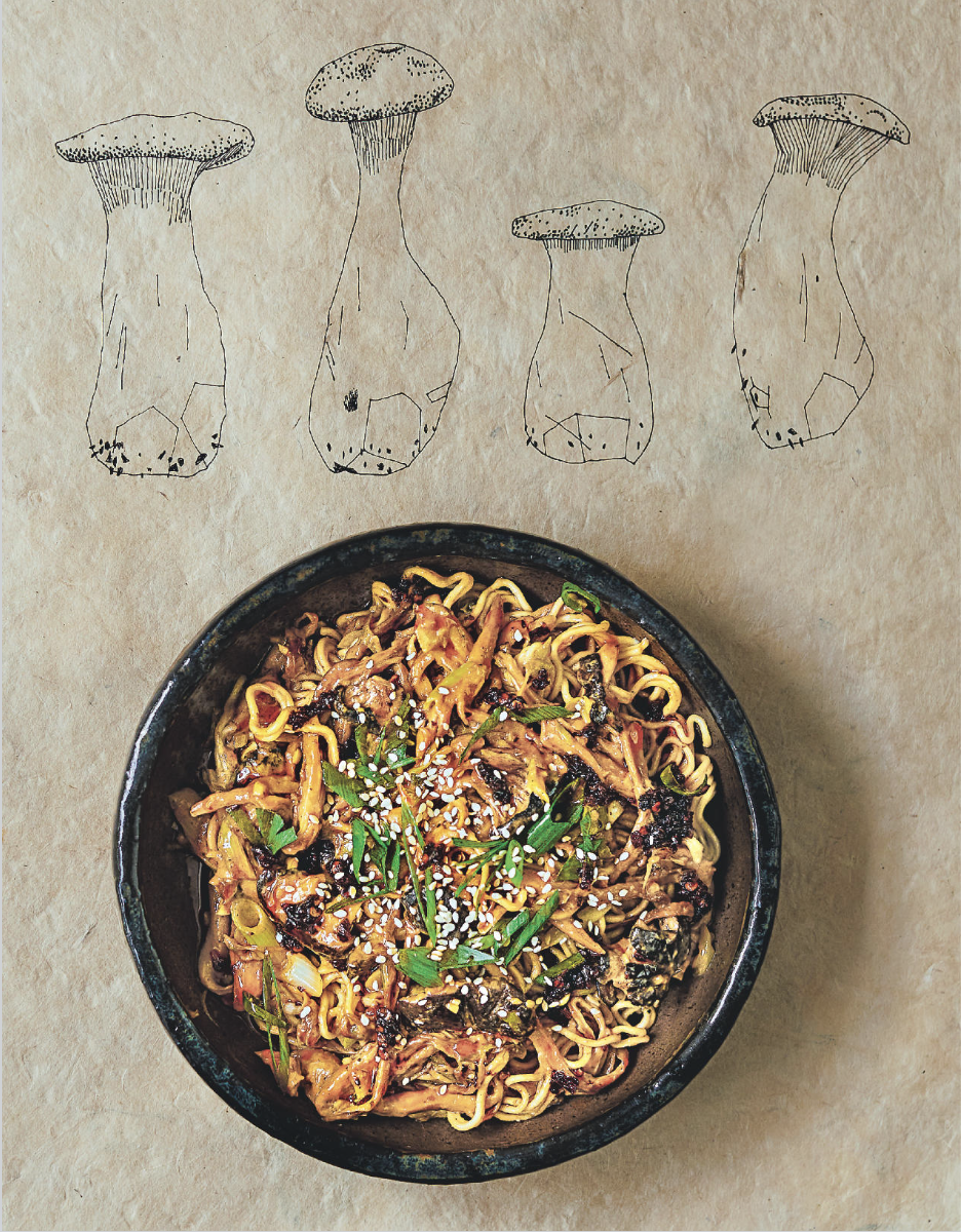 A bowl of Asian-style noodles with vegetables, garnished with sesame seeds and green onions, placed on a paper surface with line drawings of mushrooms above.