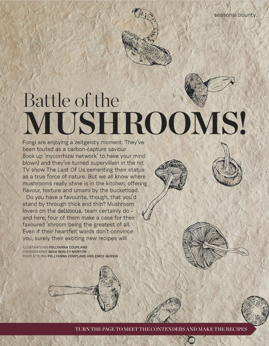 A textured beige paper background with black line drawings of various mushrooms scattered across it. The text discusses mushrooms, their role in the environment, and a contest to find favorite mushroom recipes.