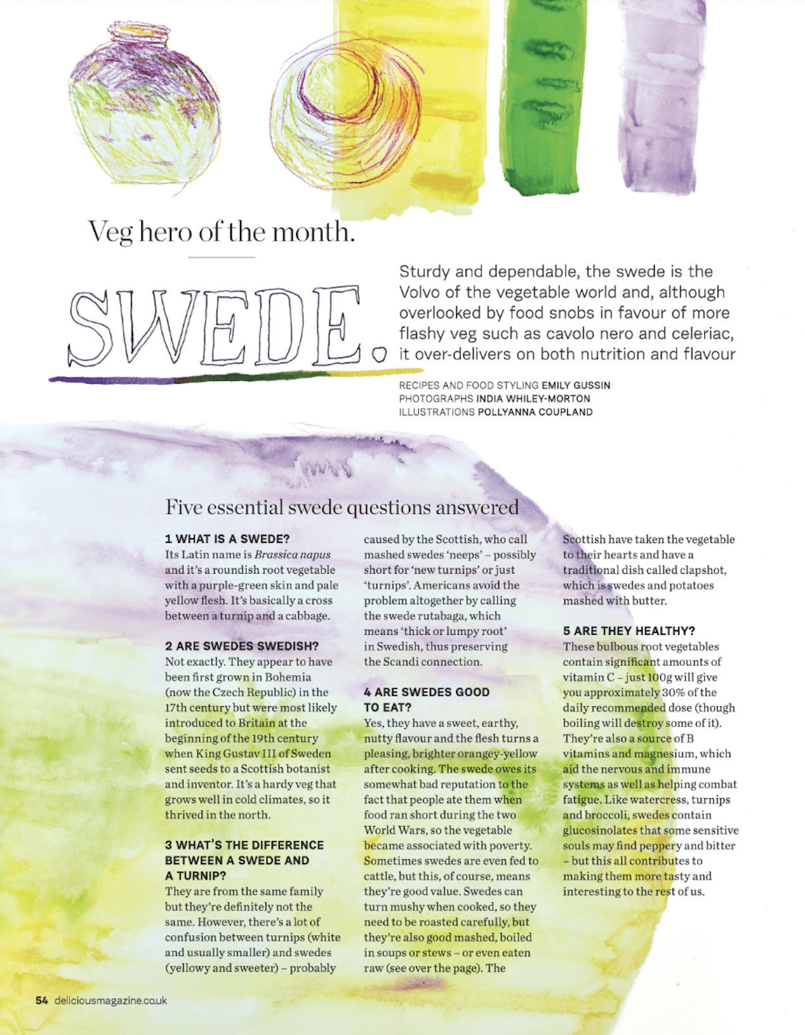 Colorful watercolor illustration of different vegetables at the top, including a green cabbage, a white onion, yellow and green peppers, and a purple eggplant. The page discusses swede, a root vegetable, and contains text with info about its history,