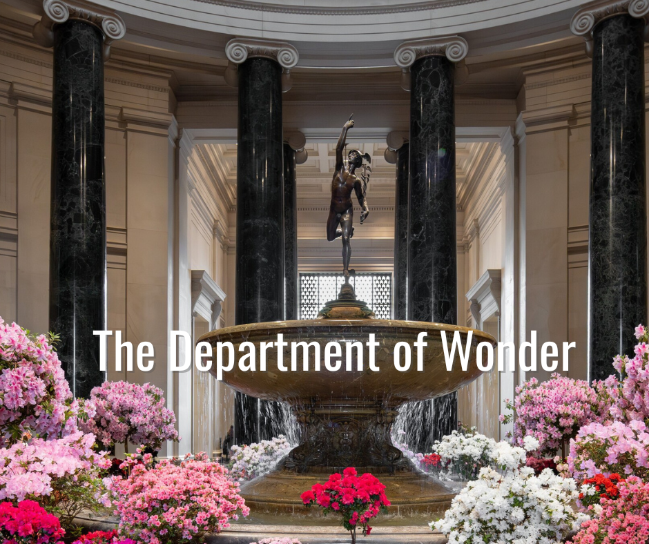The Department of Wonder