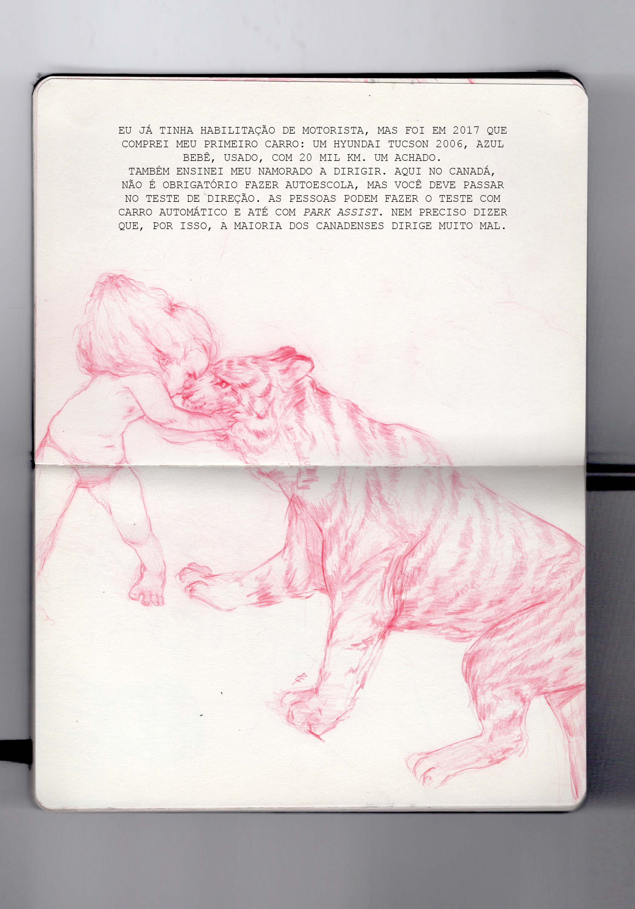 book 10 anos_03.png