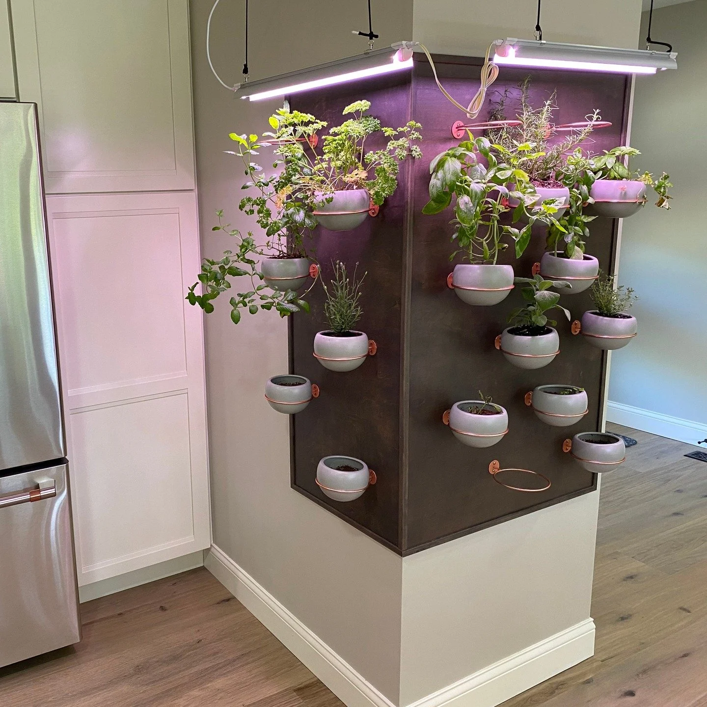 Our wall garden keeps basil, mint, rosemary &amp; friends snip-ready year-round&mdash;right next to the kitchen.

#IndoorGarden #HerbWall #KitchenGoals #OpenConcept #HomeRenovation #BeforeAndAfter #PlantWall #ModernFarmhouse #DesignBuild