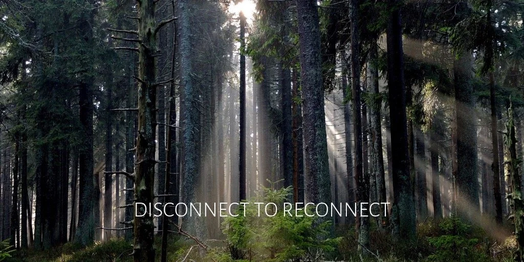 Digital Detox | Unplug – Restore – Reconnect