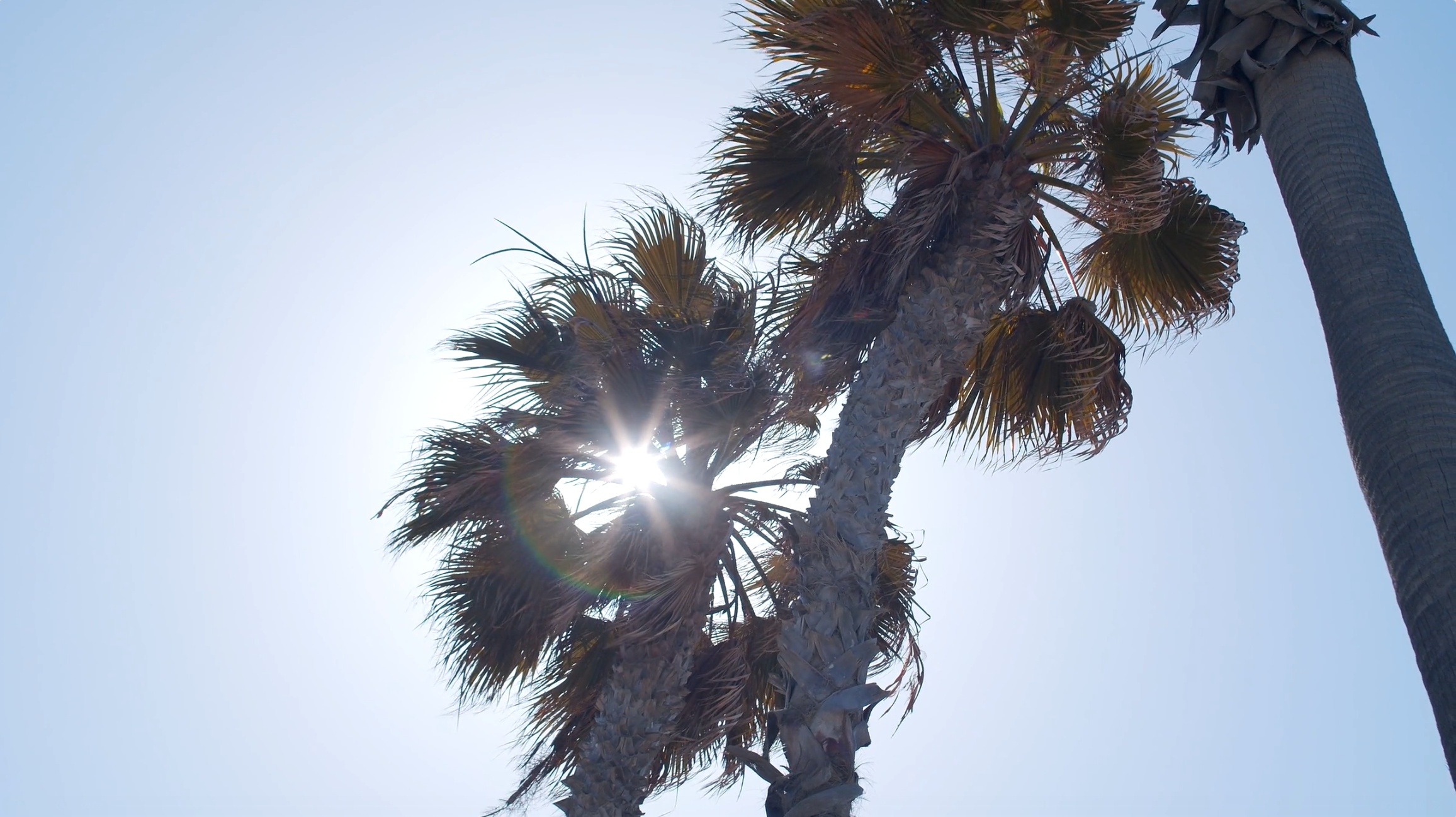 Bildschirmfoto 2026-02-07 um 18.20.47.png