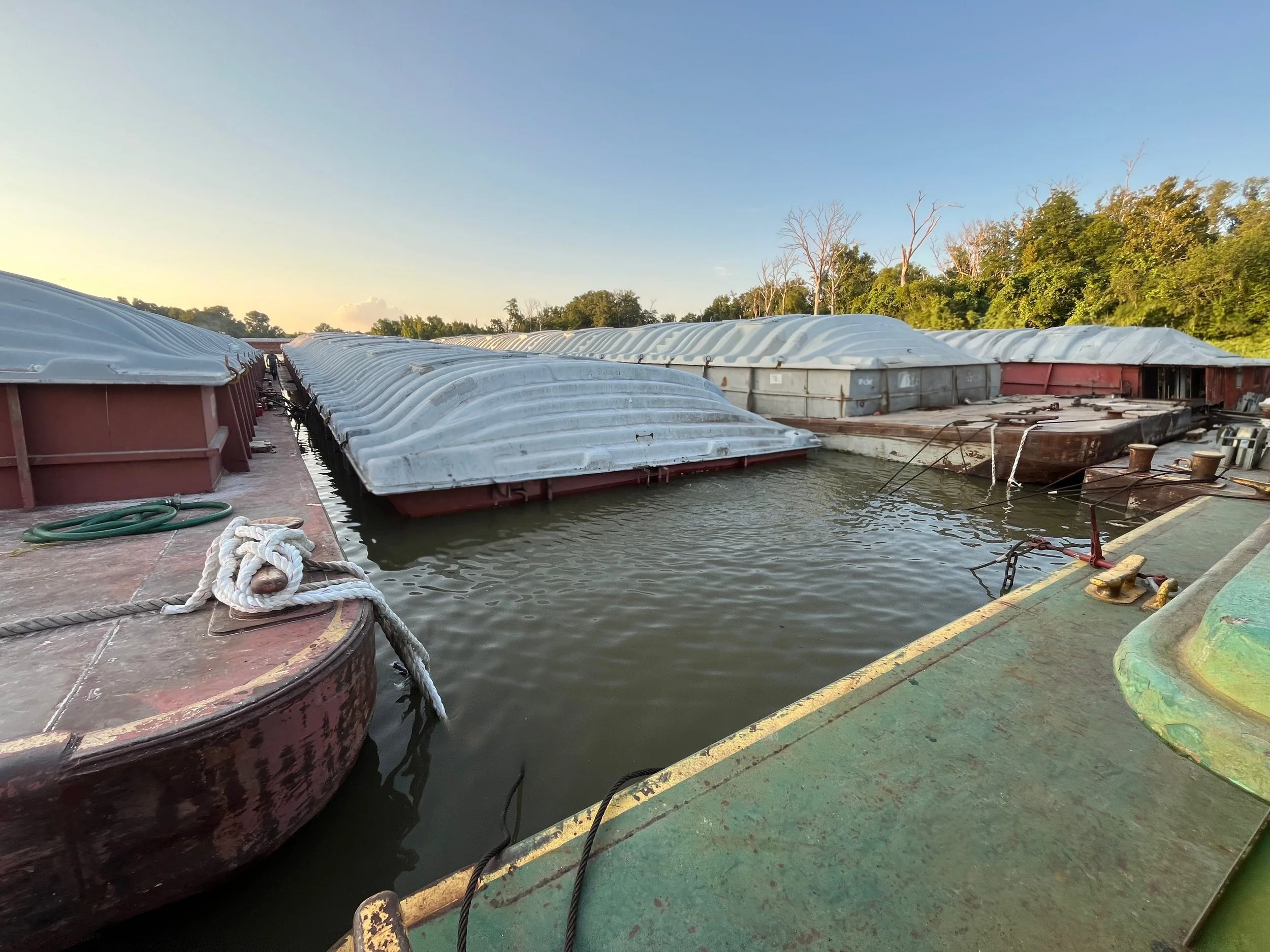 Multiple docked boats with white covers on a calm waterway, with trees and a clear sky in the background.