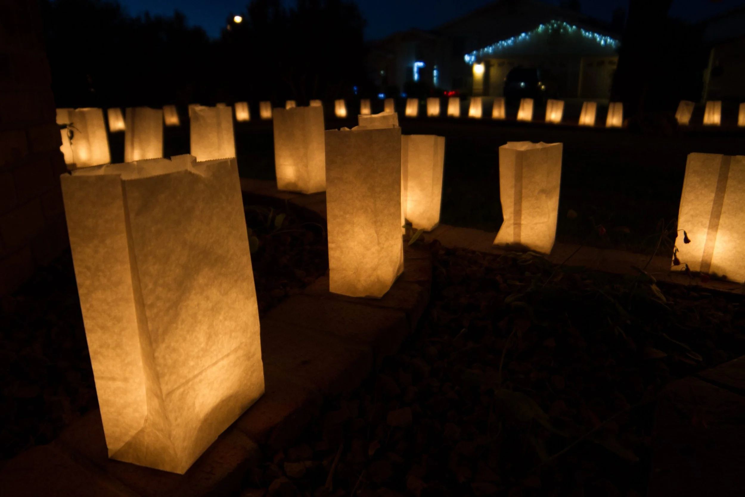 Luminary Assembly