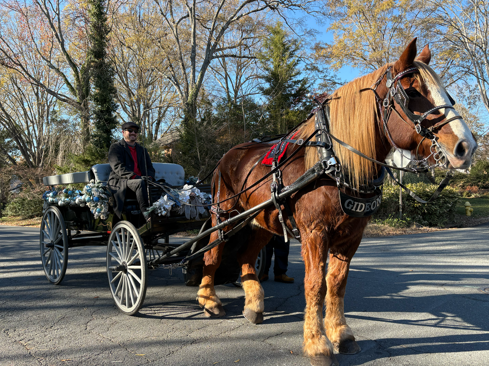 Santa &amp; Horse-drawn Carriage