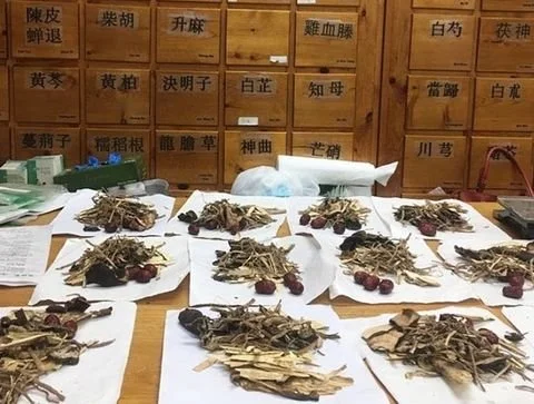 chinese medicine herbs after being weighed and before packaging for patients