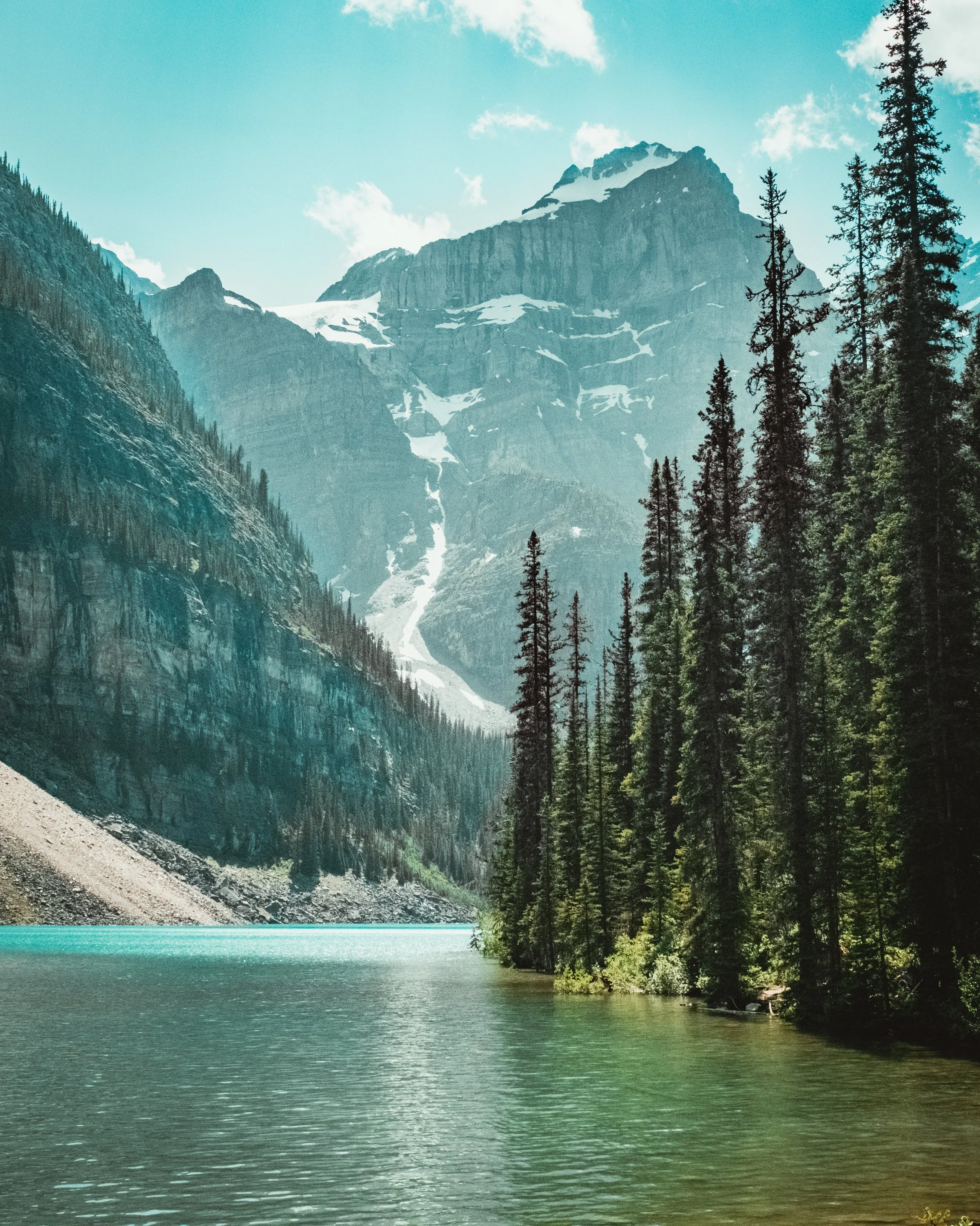 DSCF8516.jpg