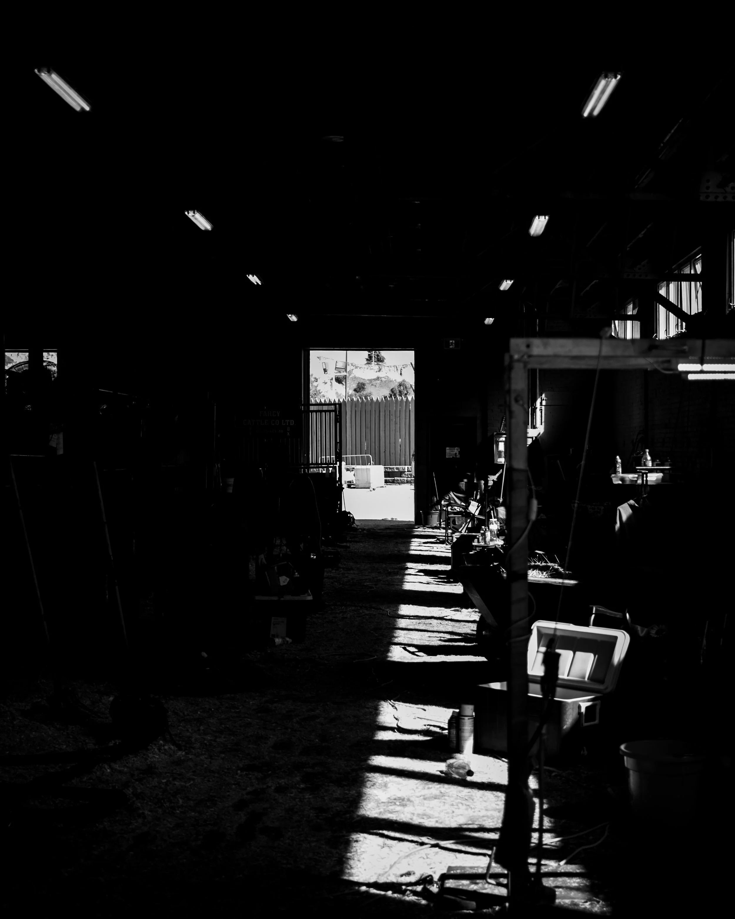 DSCF8239.jpg