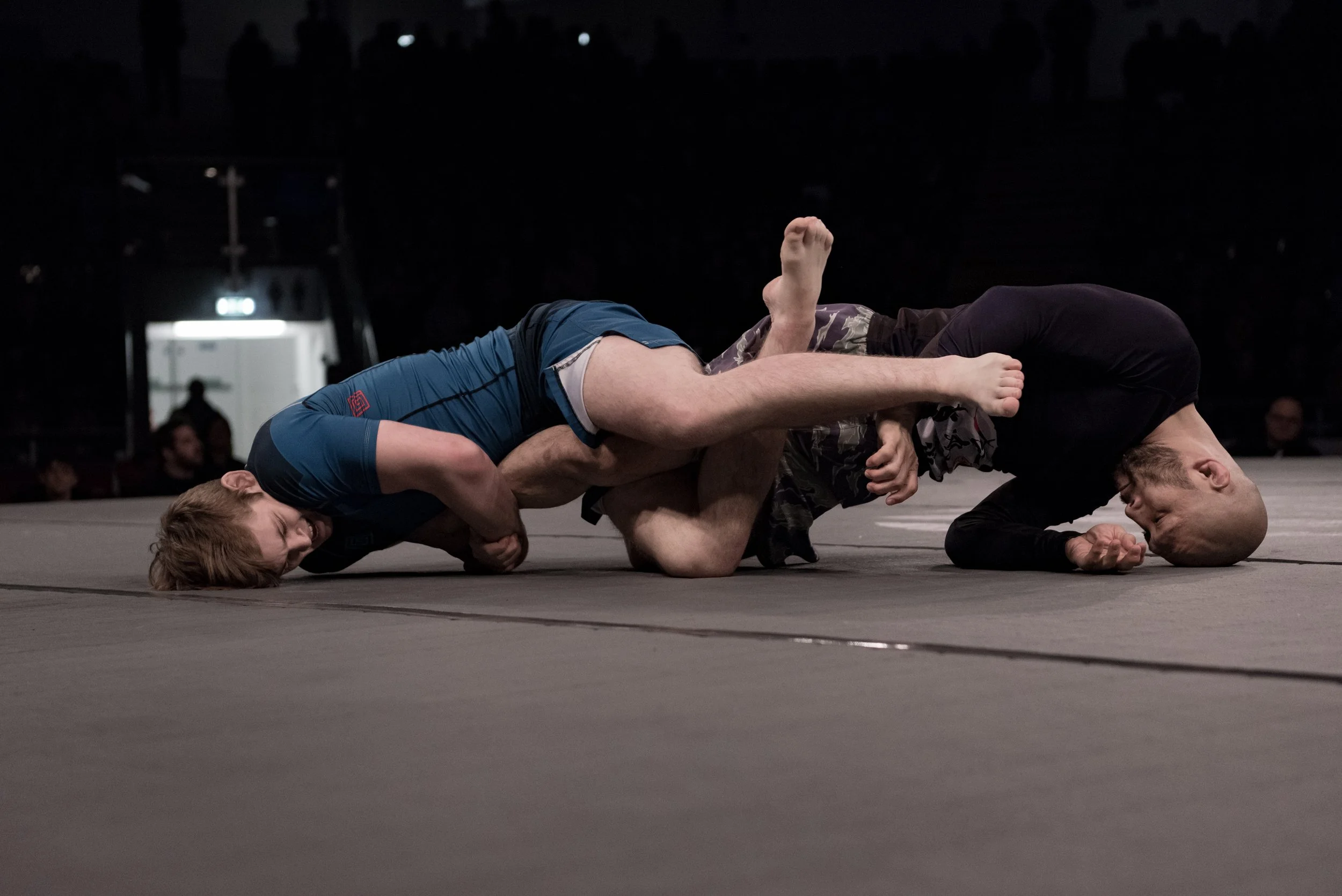D75_3249.jpg