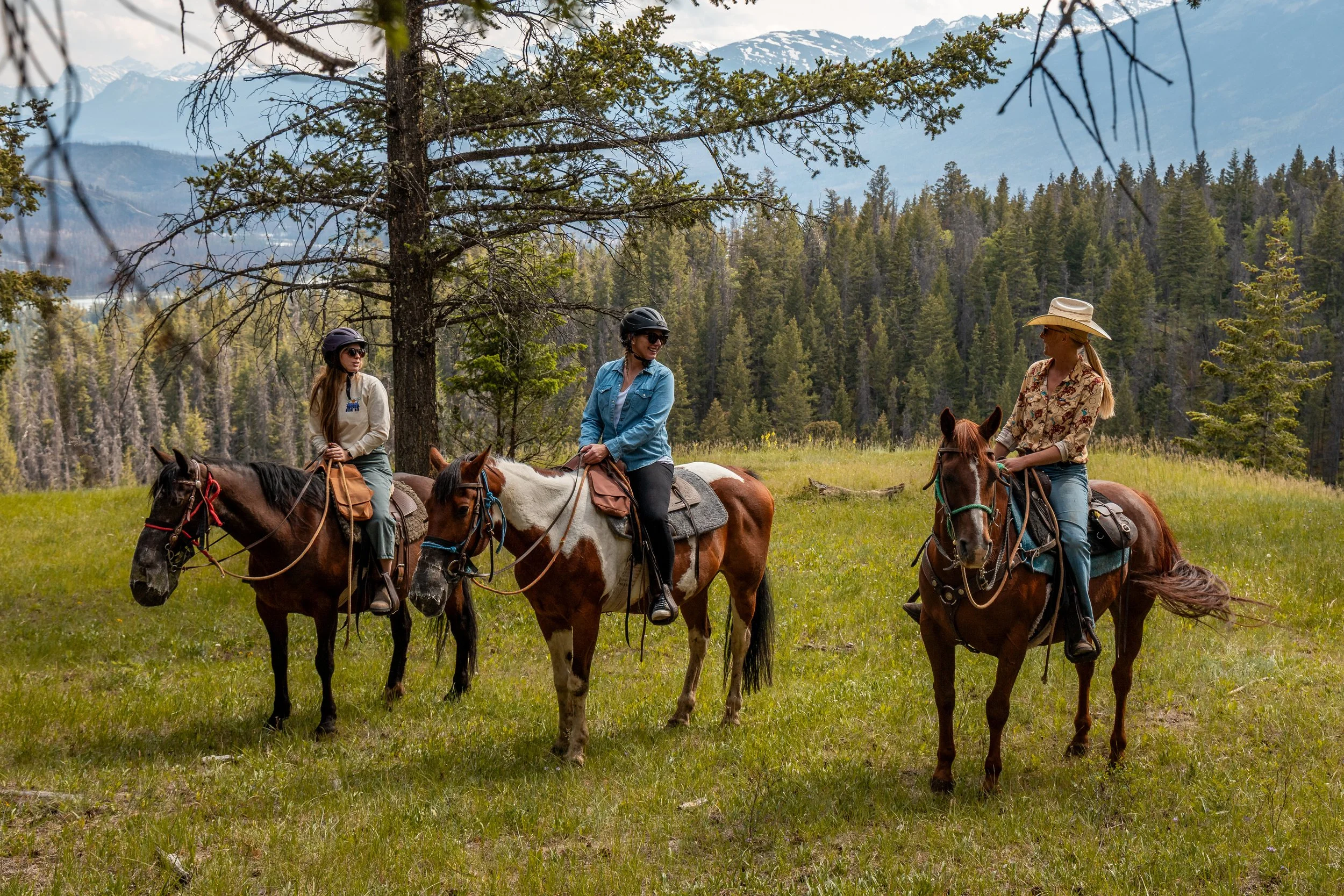 Three women enjoying a guided horseback riding tour through a green mountain meadow surrounded by evergreen pine forests.