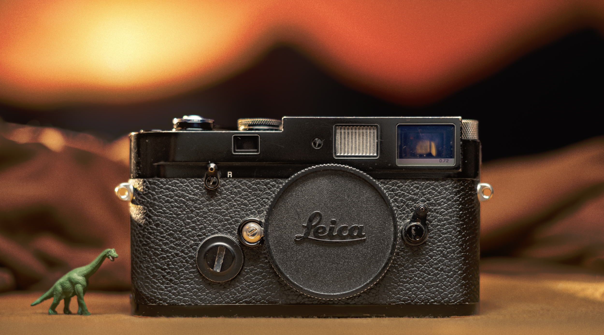 FILM PHOTOGRAPHY CAMERAS