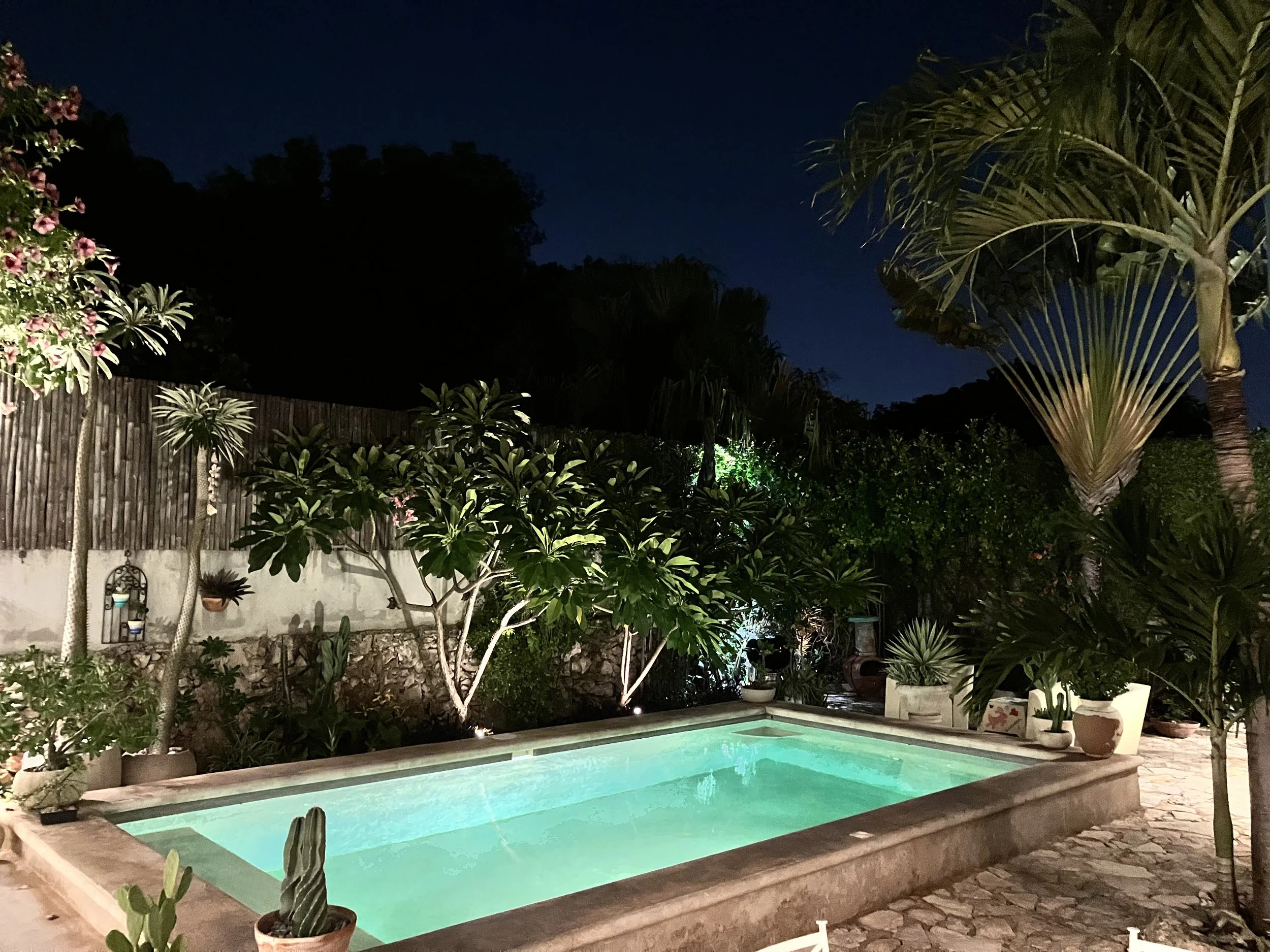 Nighttime view of a lit rectangular swimming pool surrounded by lush tropical plants and trees, with a stone sidewalk around the pool and a wooden fence in the background.