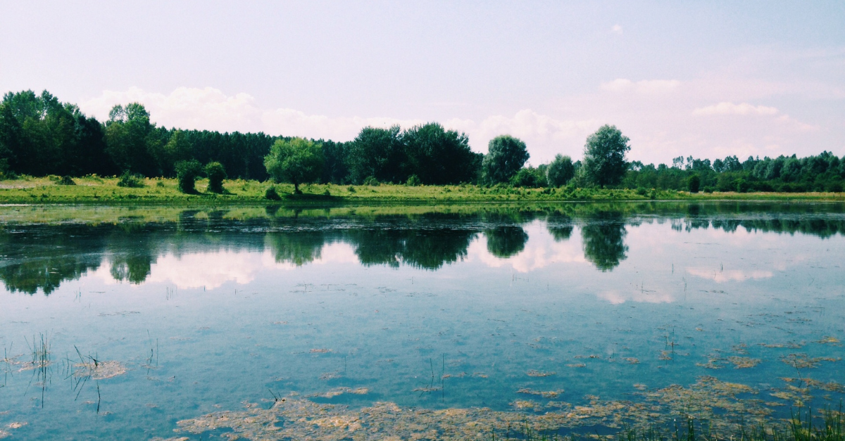 Natuurlandschap met een meer, omringd door groene bomen en een blauwe lucht met wolken.