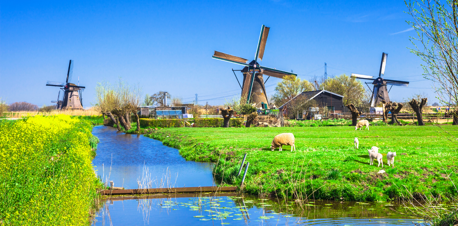 Landschap met drie molens, groene weilanden, schaapjes en een waterkanaal onder een heldere blauwe lucht.