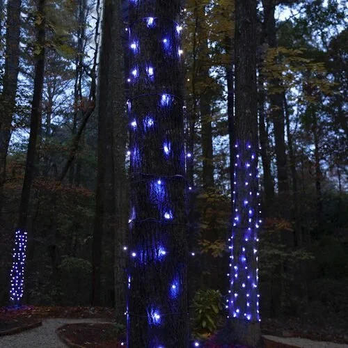 Close-up of the blue tree wrap Christmas lights option available for exterior christmas light decoration from Neon Noel LLC in Paris, Texas