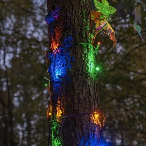 Close-up of the multicolor tree wrap Christmas lights option available for exterior christmas light decoration from Neon Noel LLC in Paris, Texas