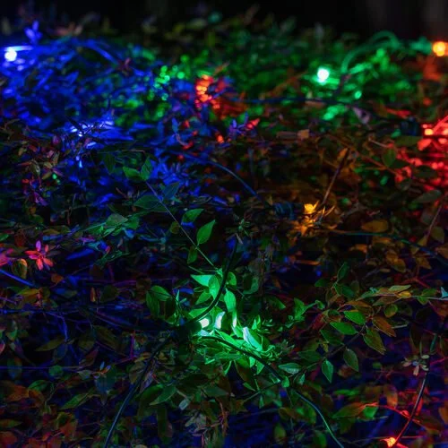 Close-up of the multicolor bush net Christmas lights option available for exterior christmas light decoration from Neon Noel LLC in Paris, Texas