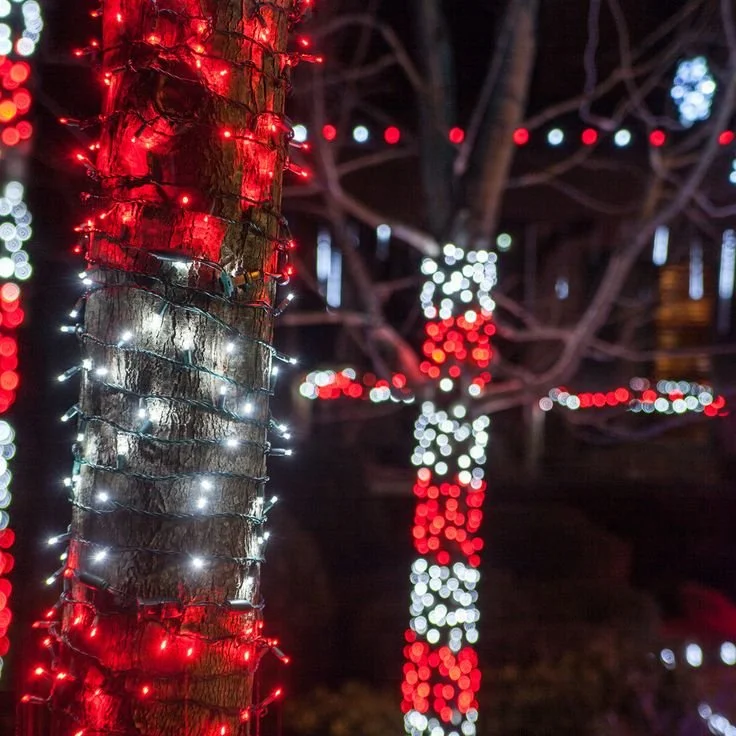 Close-up of a tree trunk wrapped with red and white Christmas lights at night for Christmas lighting inspiration for Neon Noel customers in Paris, Texas