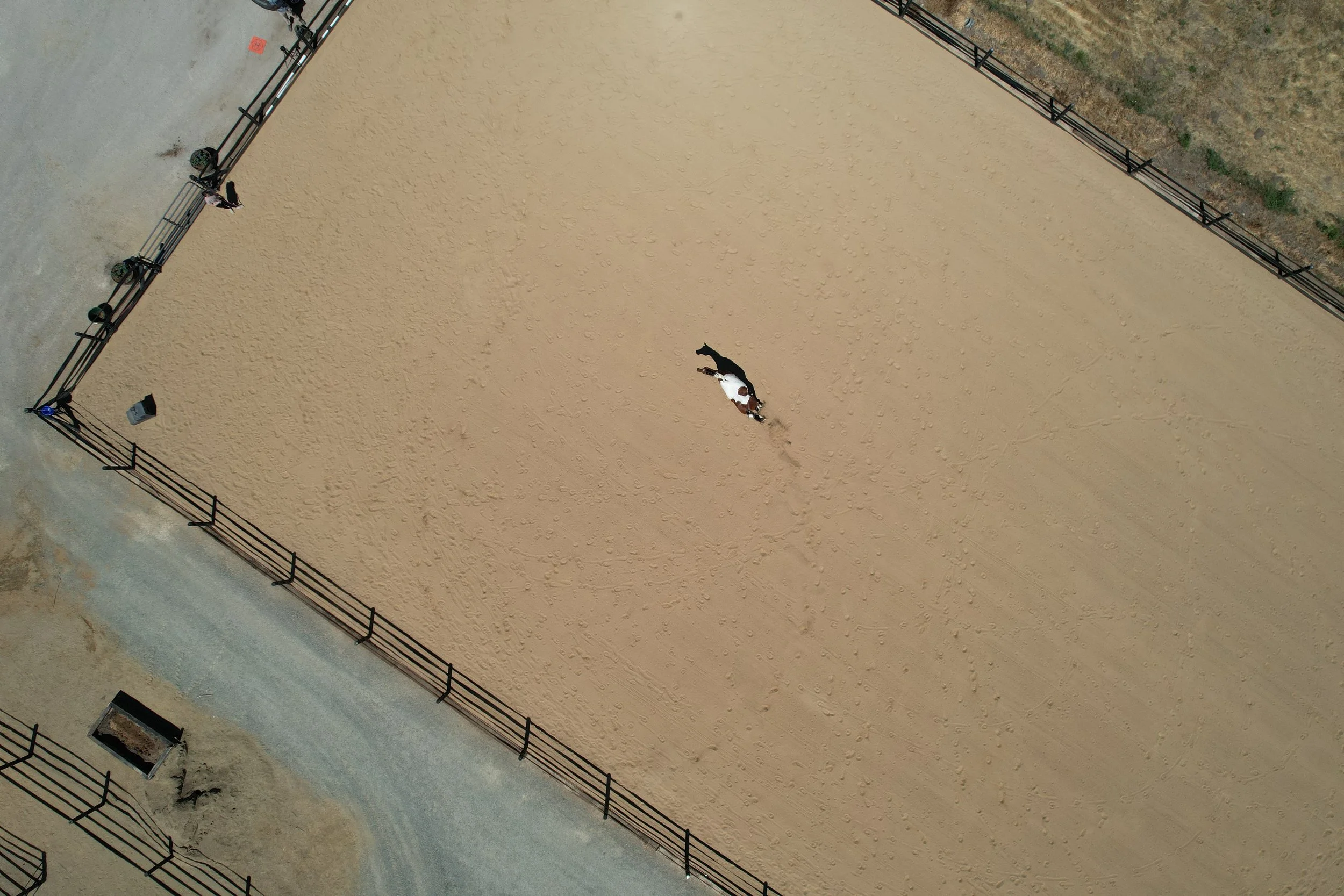 DJI_0365.jpeg