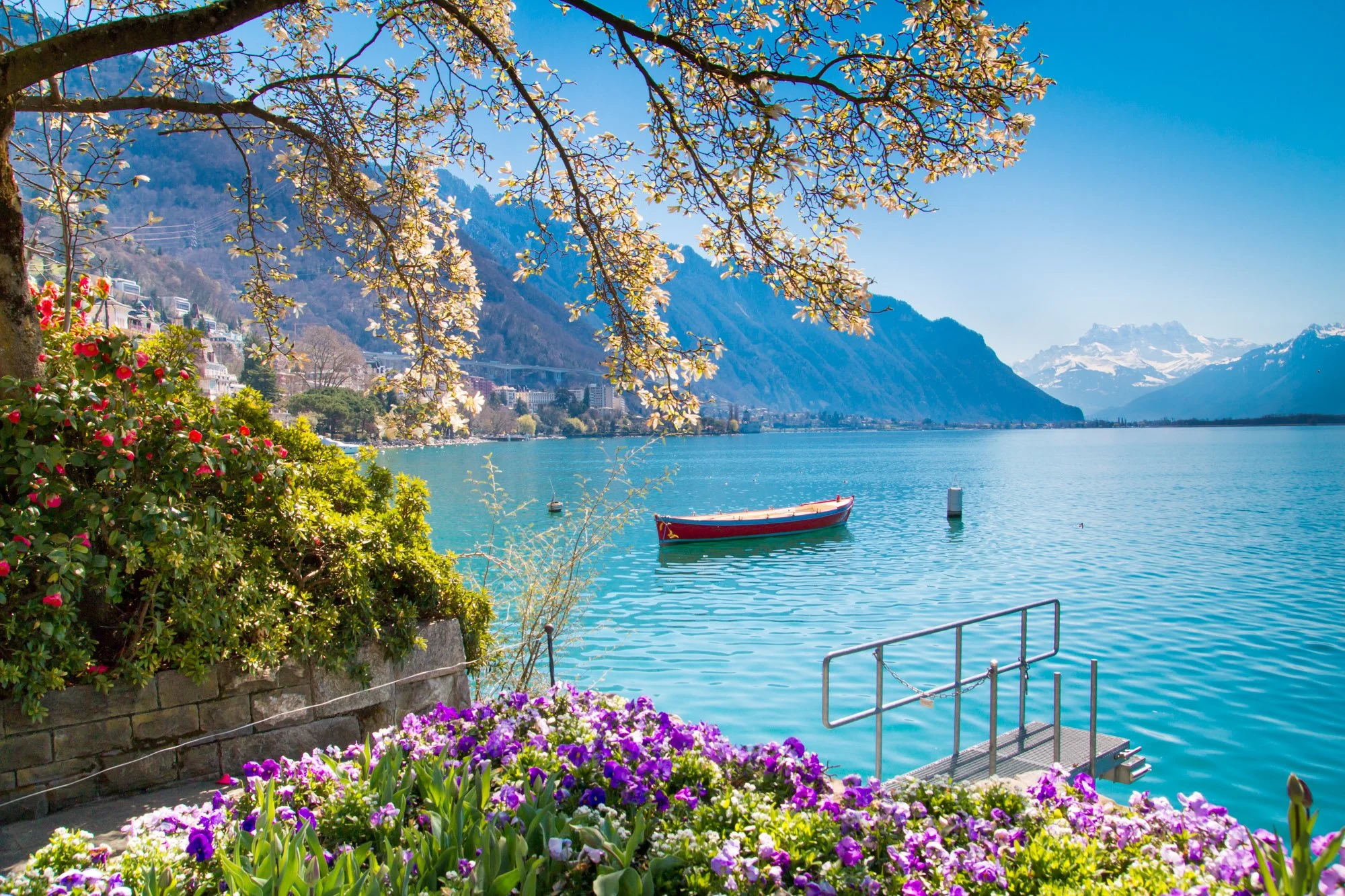 Fine art print photography for modern living room wall decor in Zürich.. Scenic view of a lakeside area with colorful flowers in the foreground. A boat floats on calm lake waters, with mountains and a clear blue sky in the background.