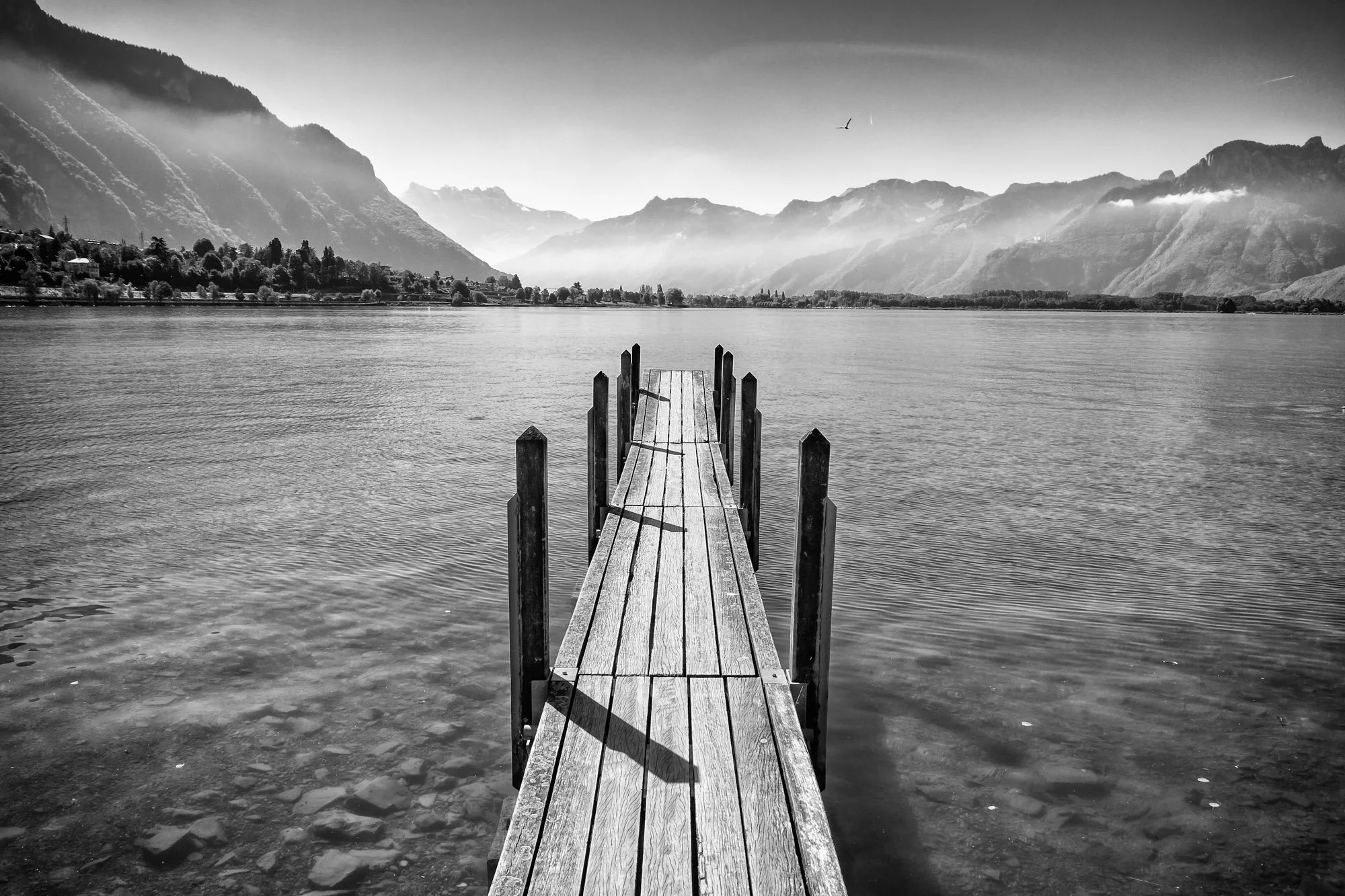 Black and white photo of a wooden dock extending into a calm body of water with mountains in the background and a bird flying overhead.