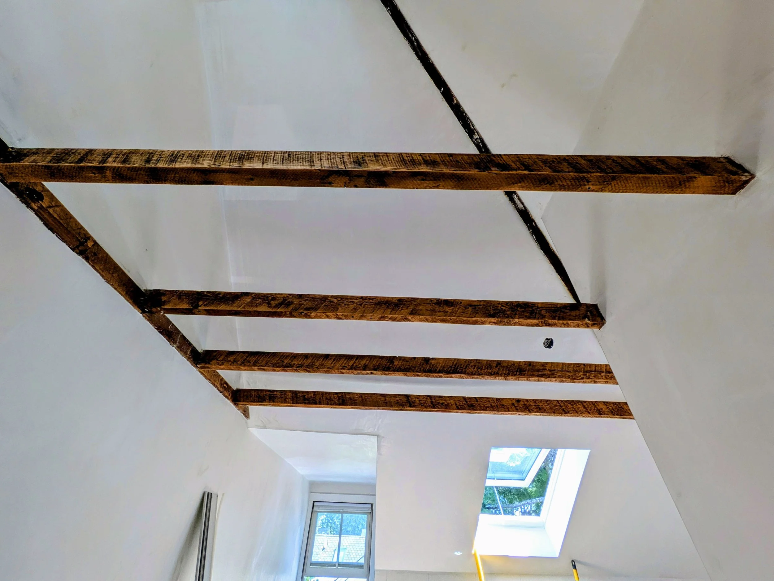 Apprentice Adventures