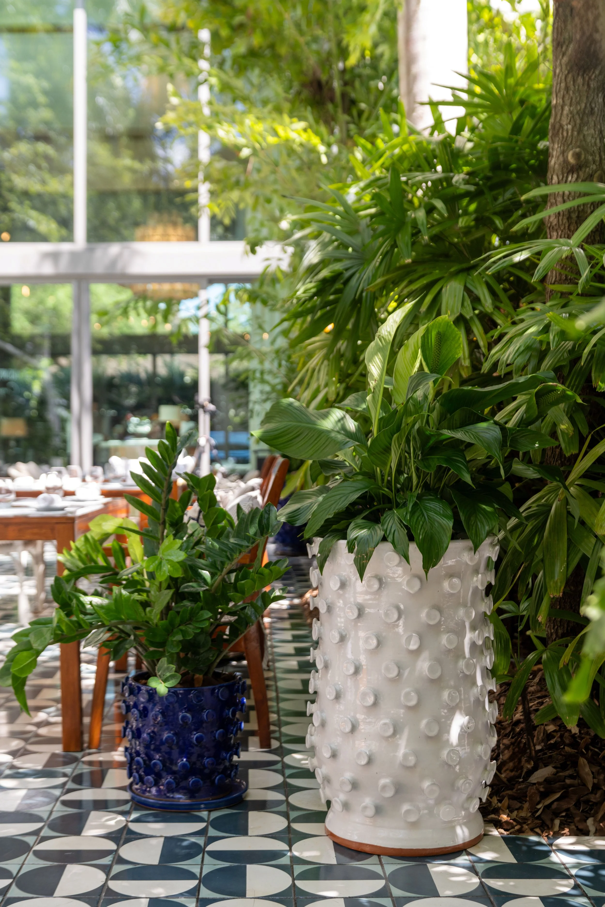 250623 _ FABIOLA _ MR C-7.jpg