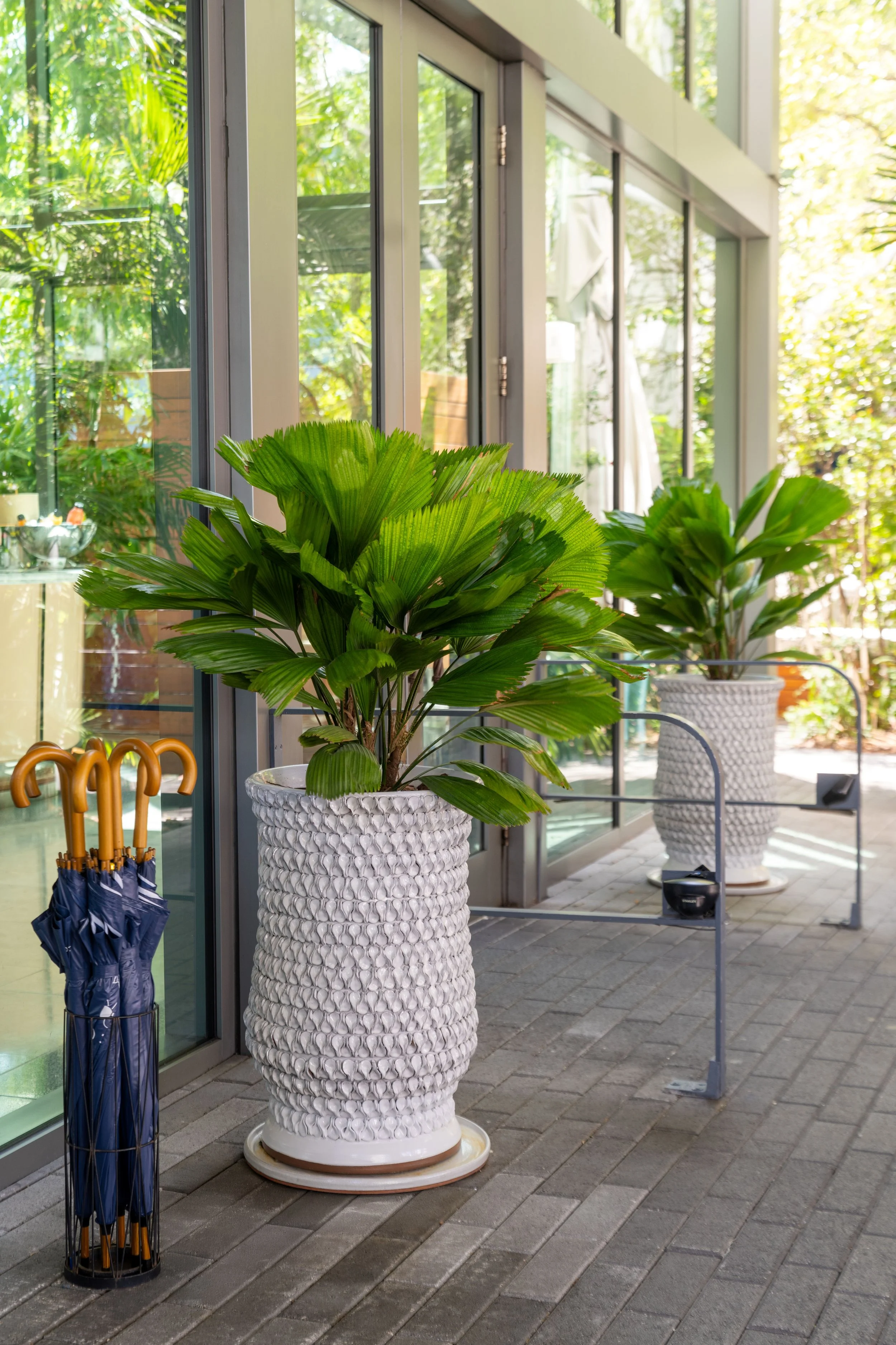 250623 _ FABIOLA _ MR C-13.jpg