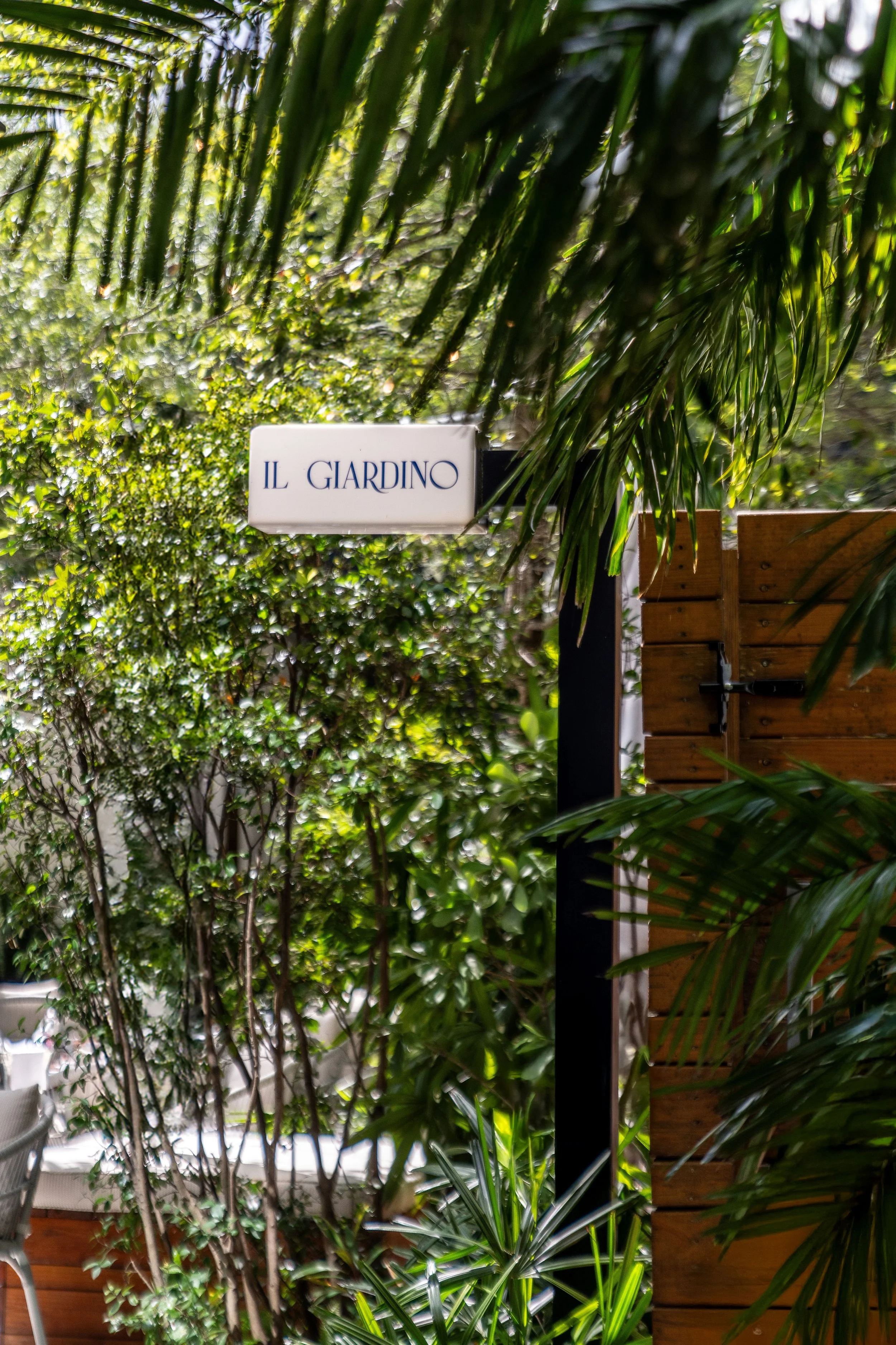 250623 _ FABIOLA _ MR C-15.jpg