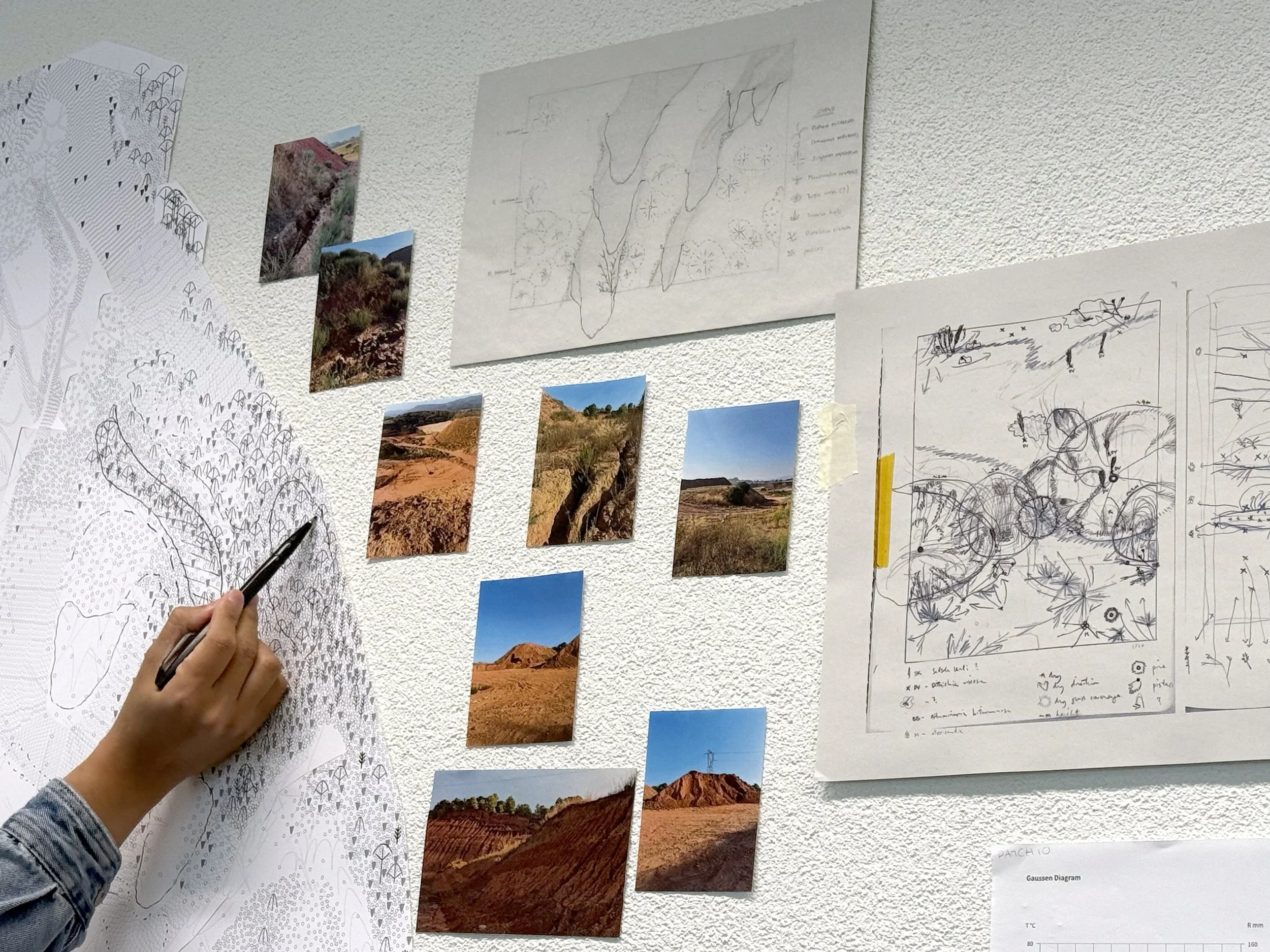 Collective Site Analysis