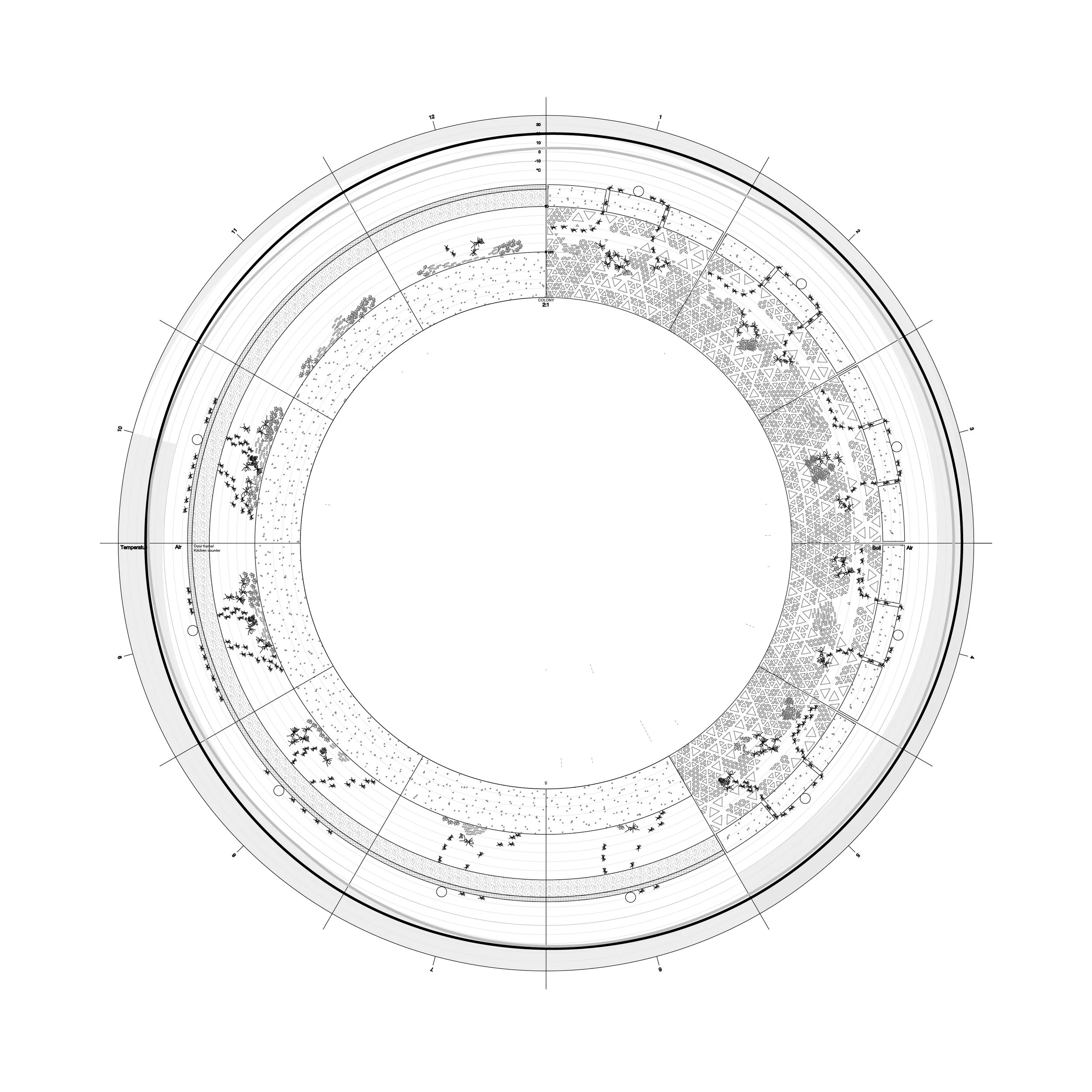 Monomorium pharaonic by Viral Meta.