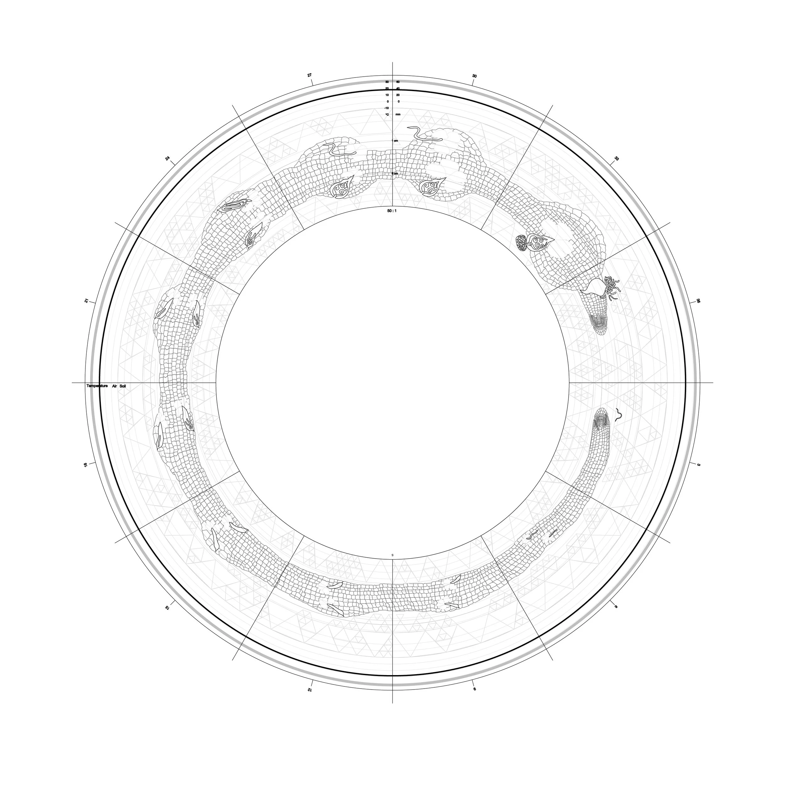 Meloidogyne incognita by Helin Can.