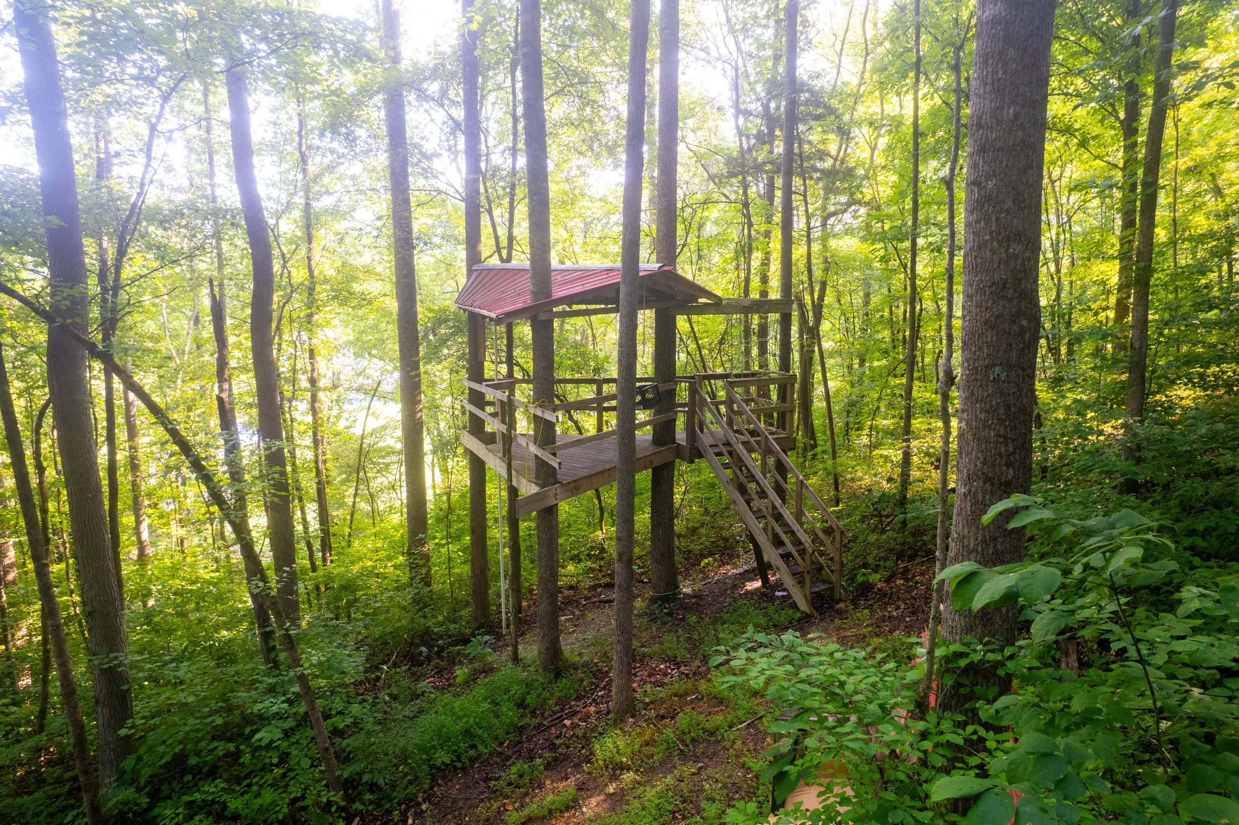 A wooden treehouse with a metal roof, accessible by a staircase, is built among tall trees in a lush green forest, with sunlight filtering through the leaves.