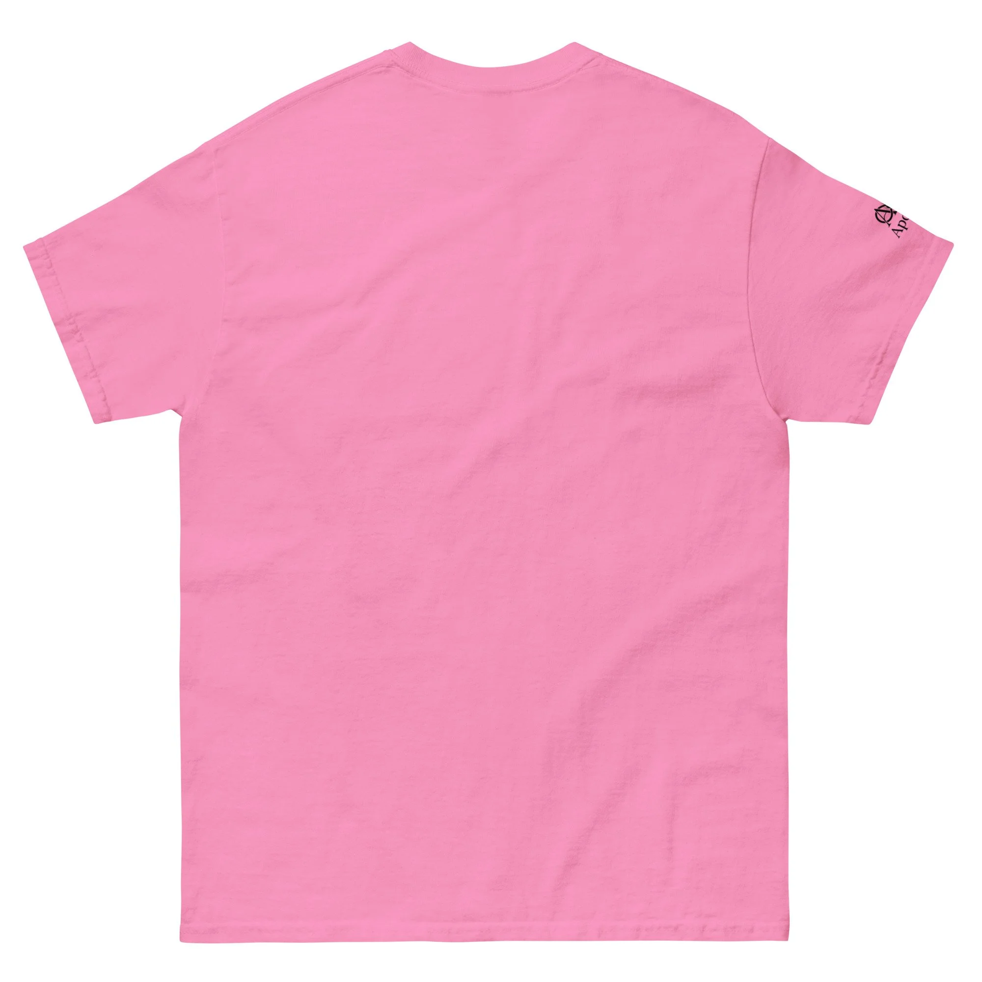 unisex-classic-tee-azalea-back-6a318912460fe.jpg