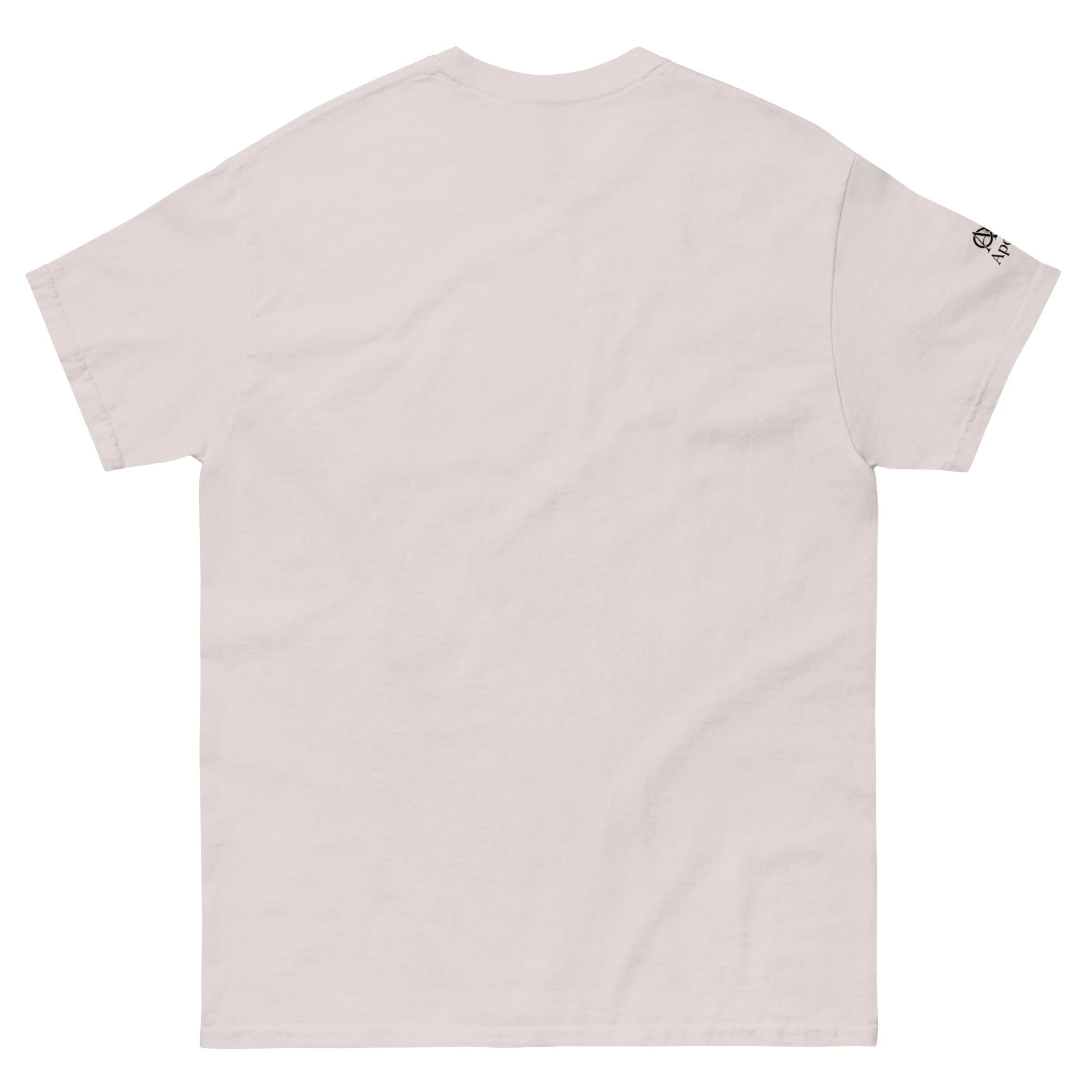 unisex-classic-tee-ice-grey-back-6a3189125bb49.jpg
