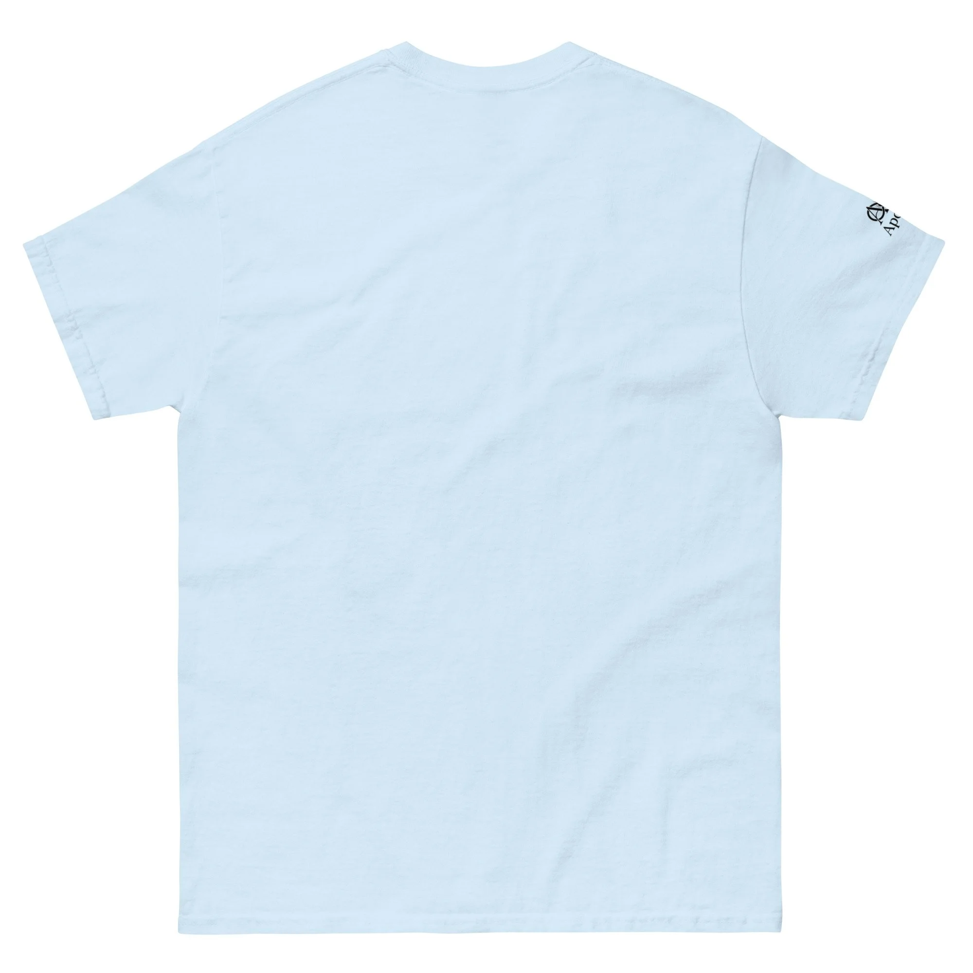 unisex-classic-tee-light-blue-back-6a31891265193.jpg