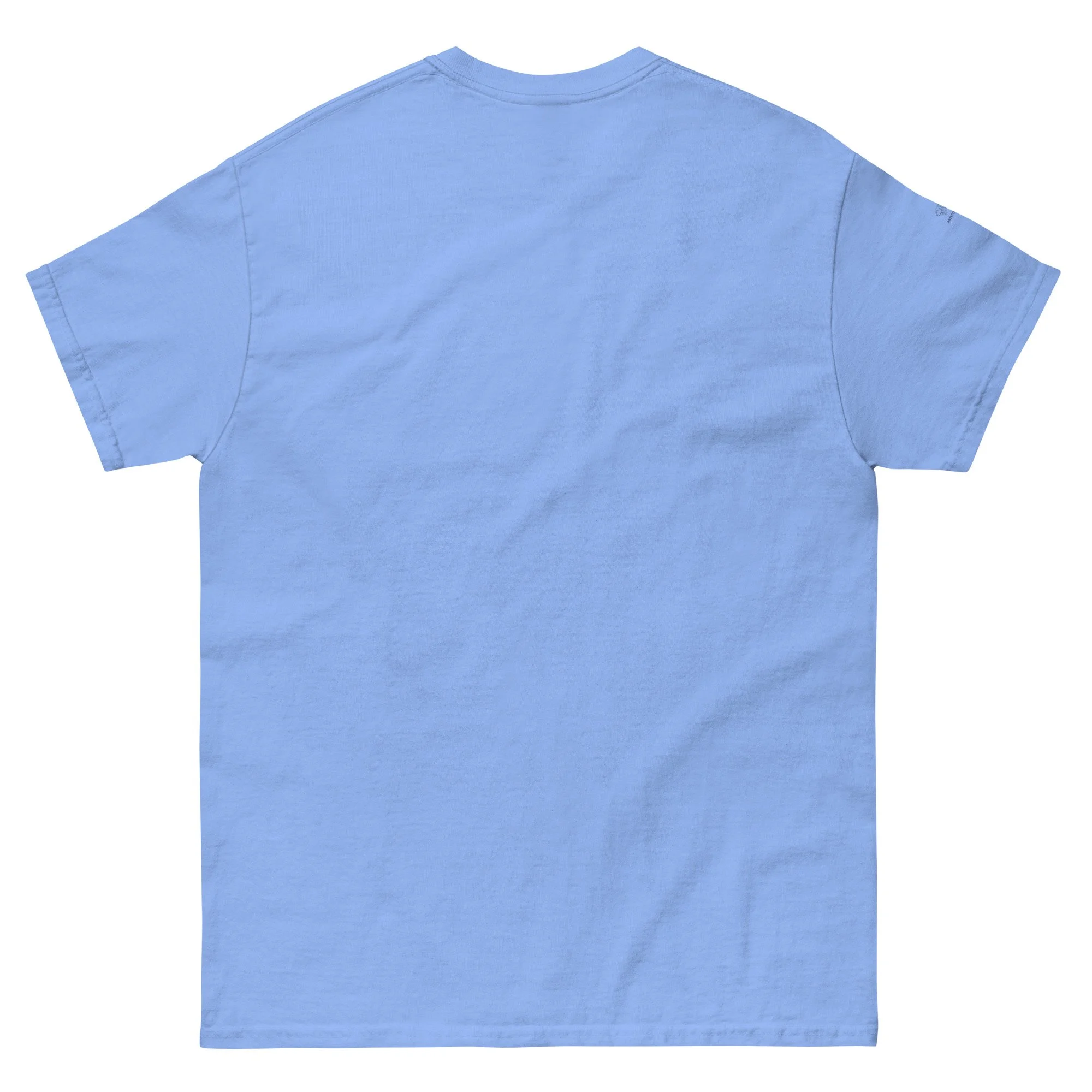 unisex-classic-tee-carolina-blue-back-6a318c9ce684b.jpg