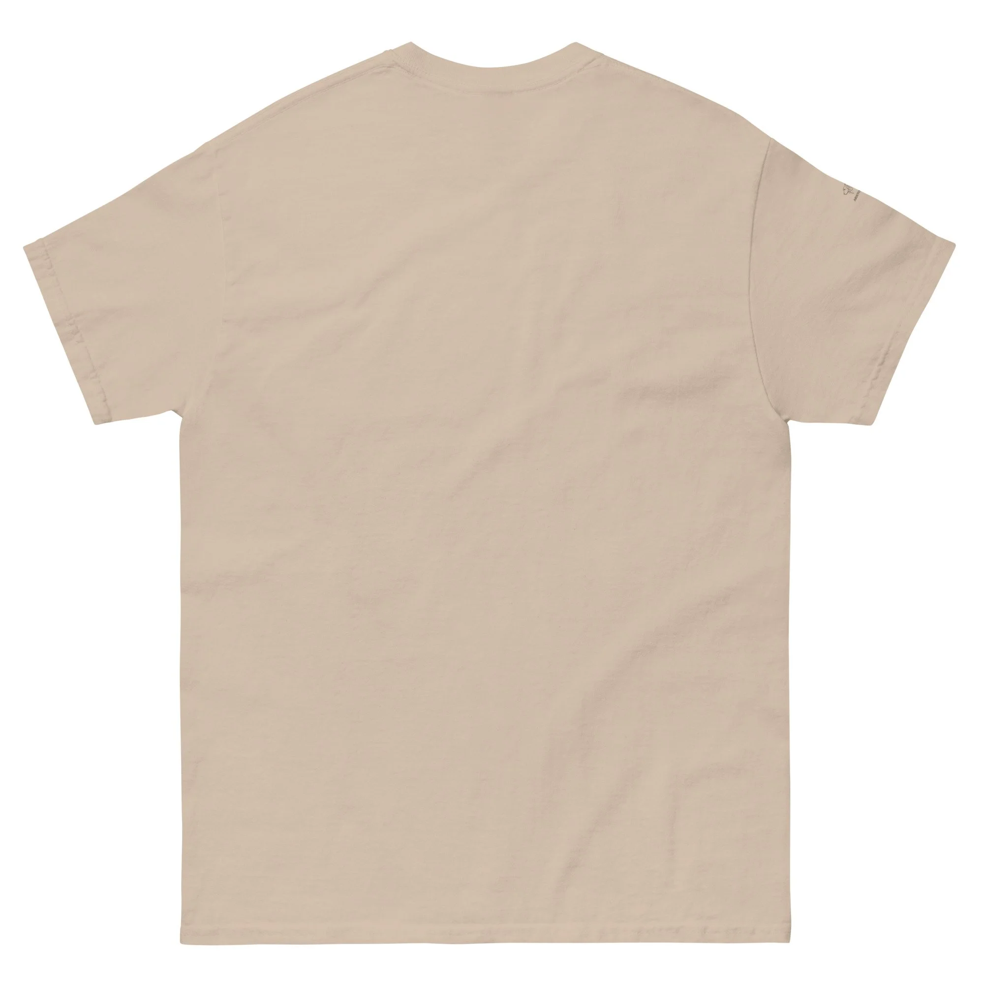 unisex-classic-tee-sand-back-6a318c9cefedf.jpg