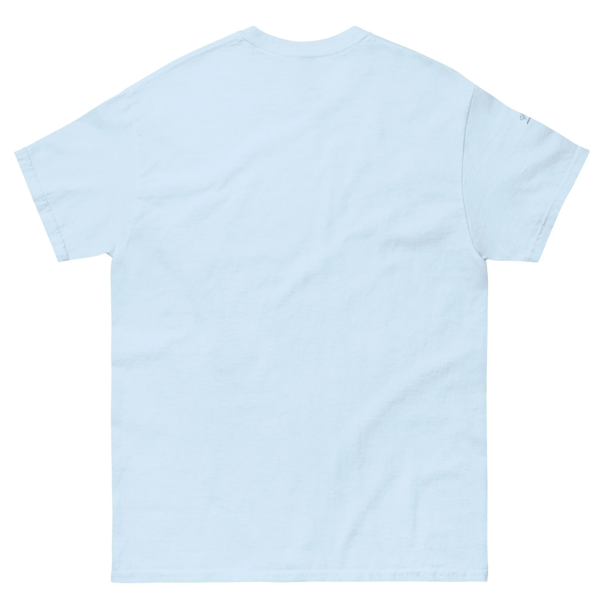 unisex-classic-tee-light-blue-back-6a318c9d0c478.jpg