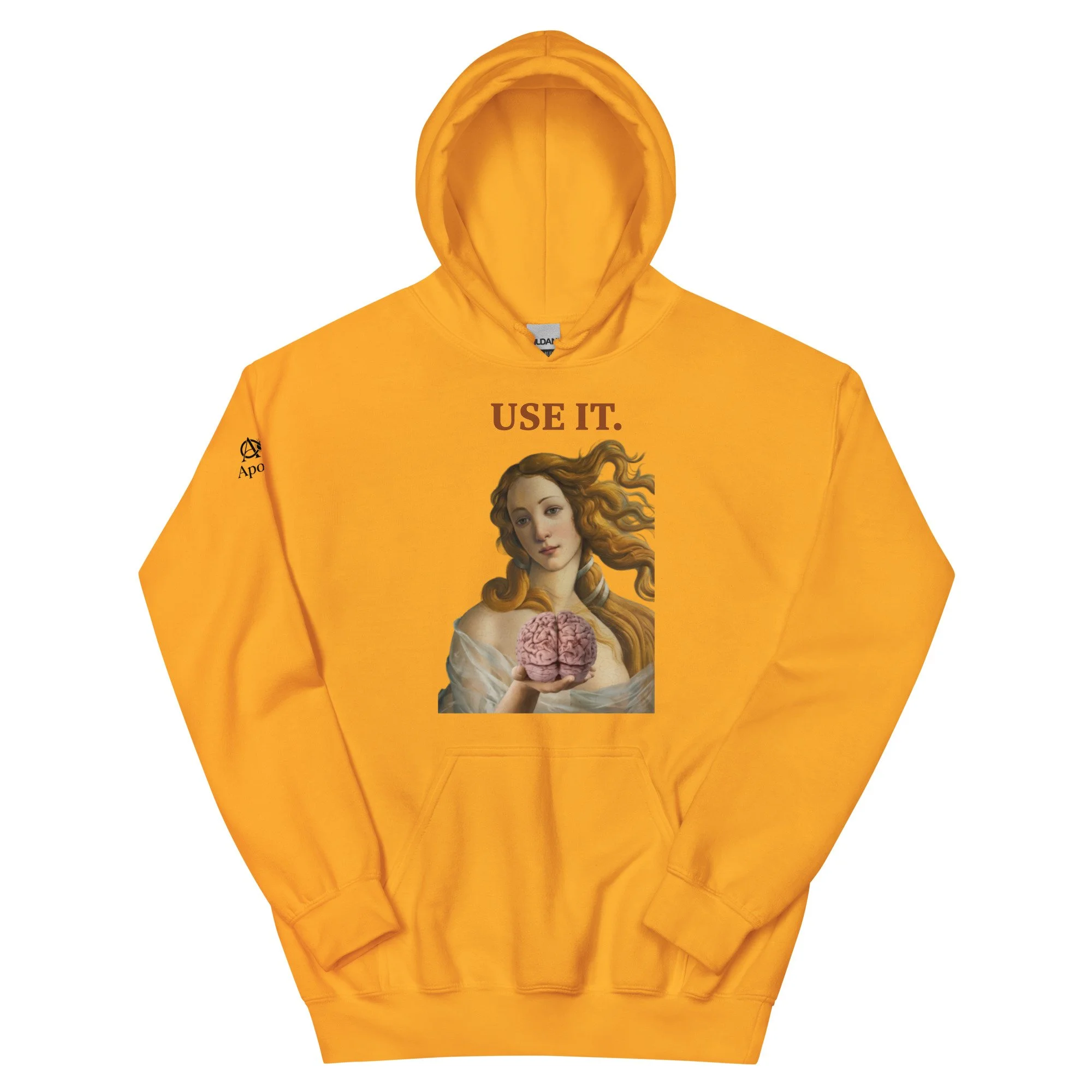 unisex-heavy-blend-hoodie-gold-front-6a47d3727821f.jpg