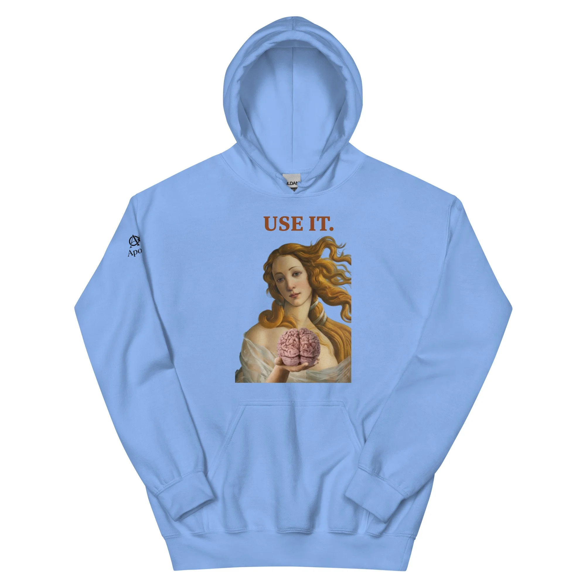 unisex-heavy-blend-hoodie-carolina-blue-front-6a47d3727a9f0.jpg