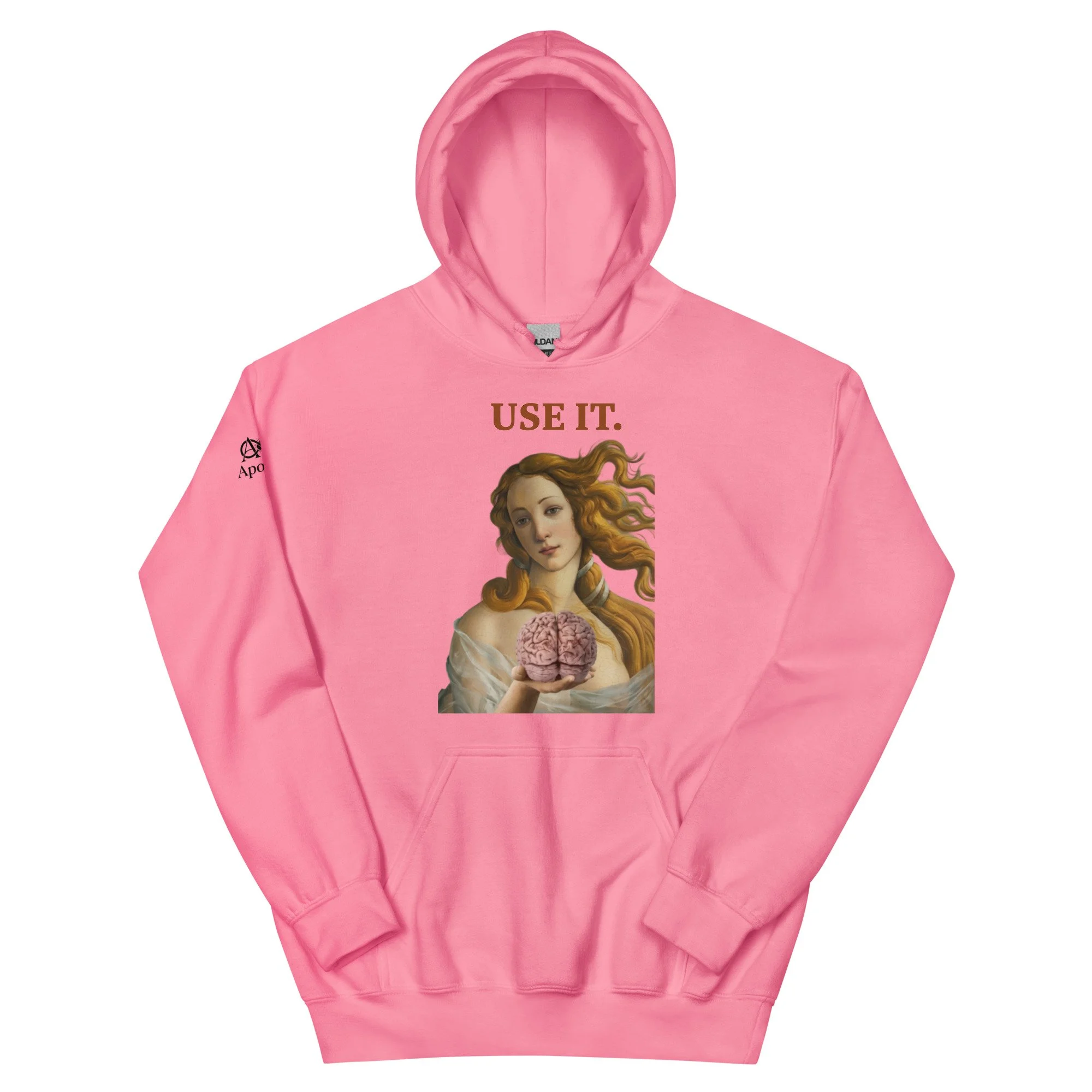 unisex-heavy-blend-hoodie-azalea-front-6a47d3727ba30.jpg