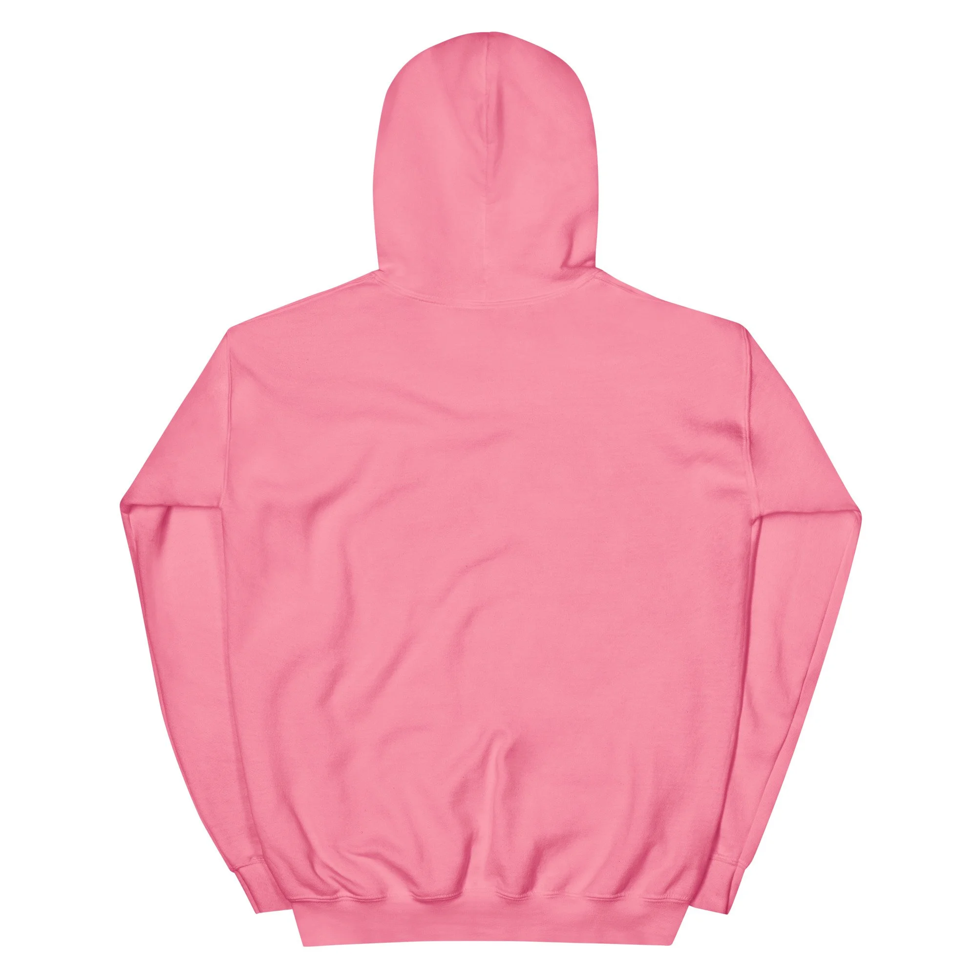 unisex-heavy-blend-hoodie-azalea-back-6a47d3727c611.jpg