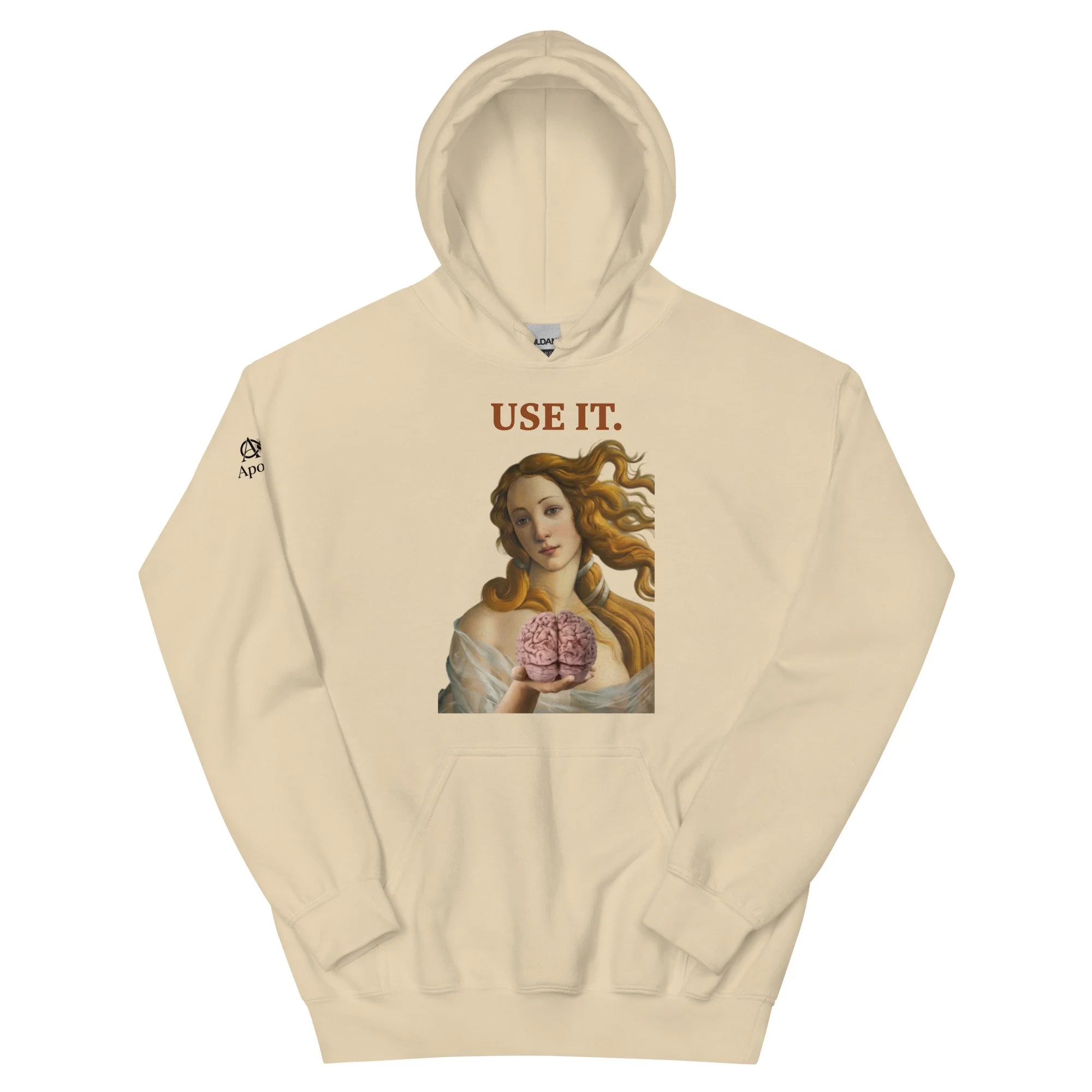 unisex-heavy-blend-hoodie-sand-front-6a47d3727e7b7.jpg